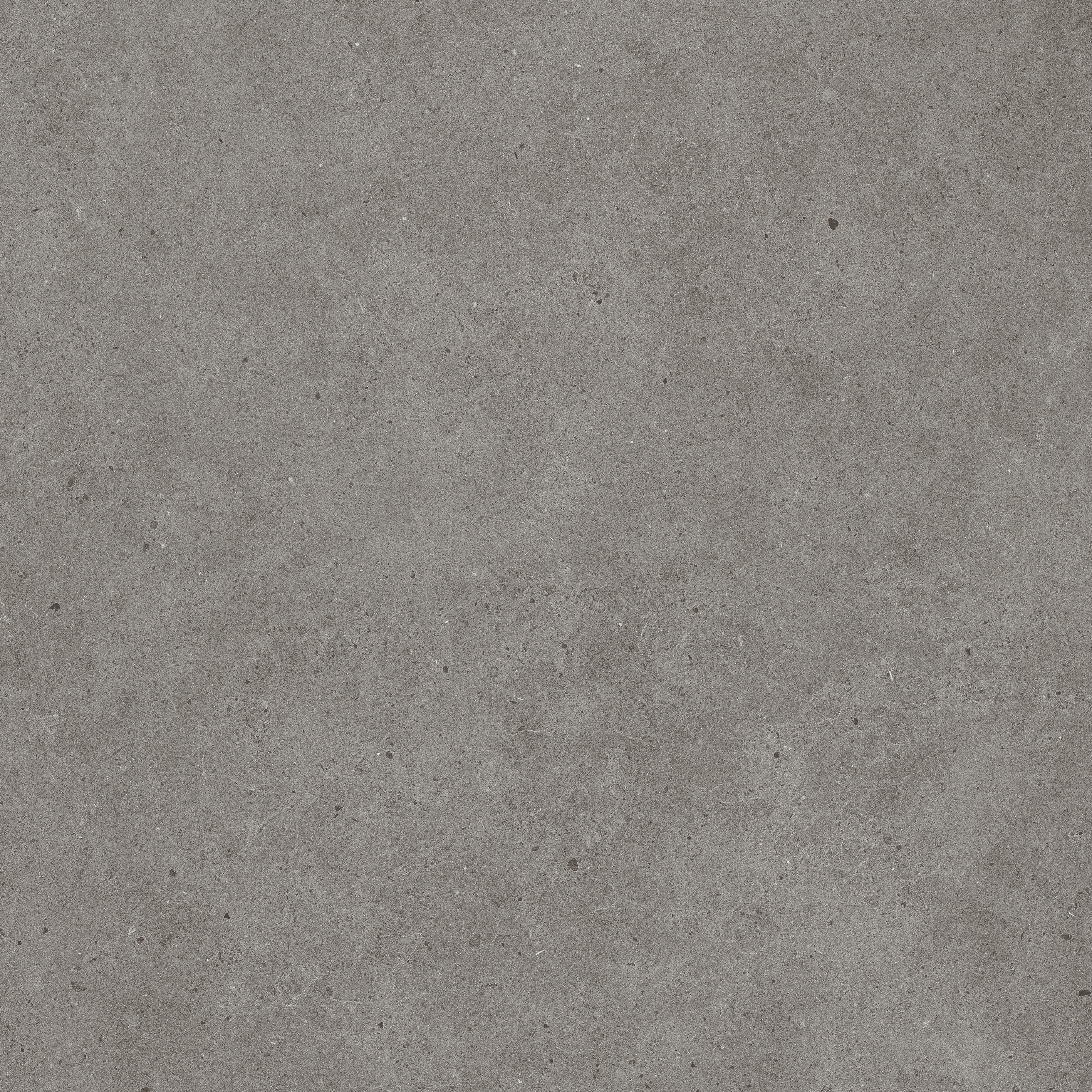 Solid Tones - 2310PC61