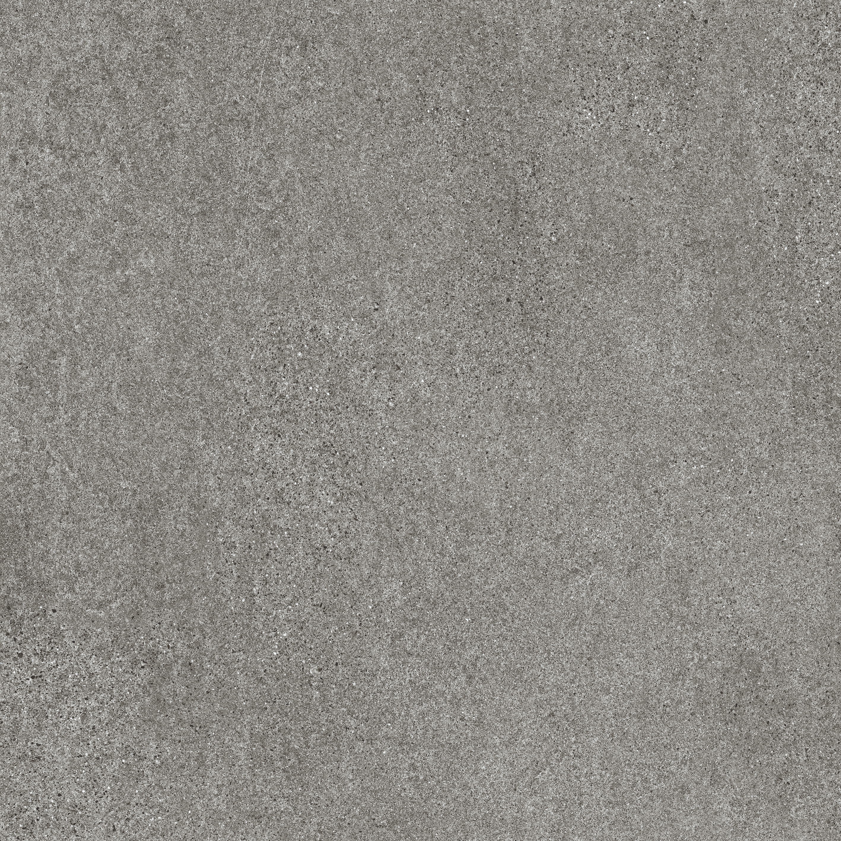 Solid Tones - 2310PS61