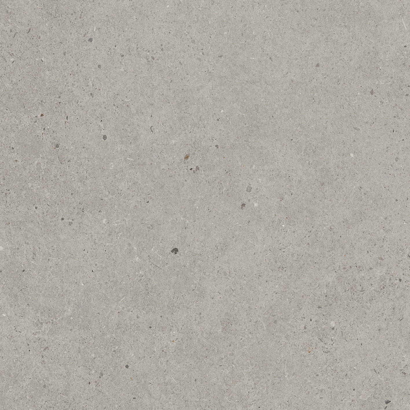 Solid Tones - 2350PC60