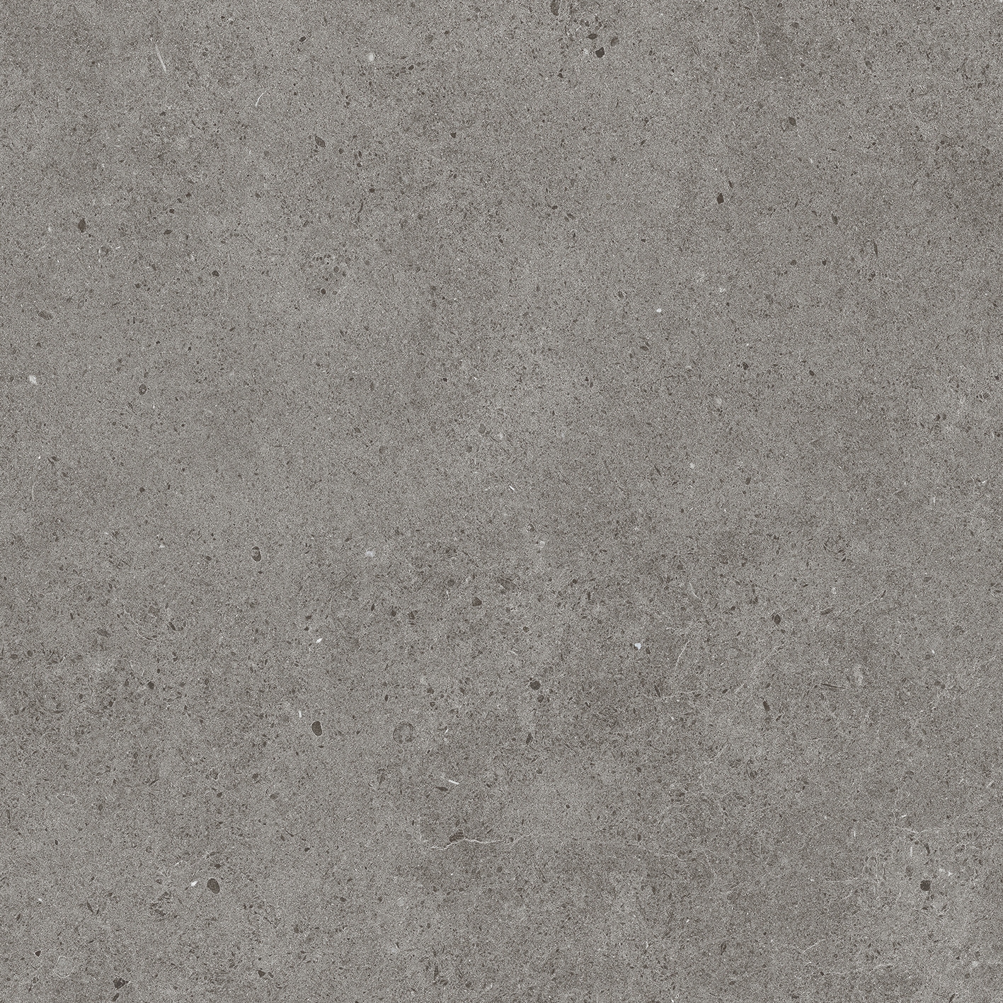 Solid Tones - 2350PC61