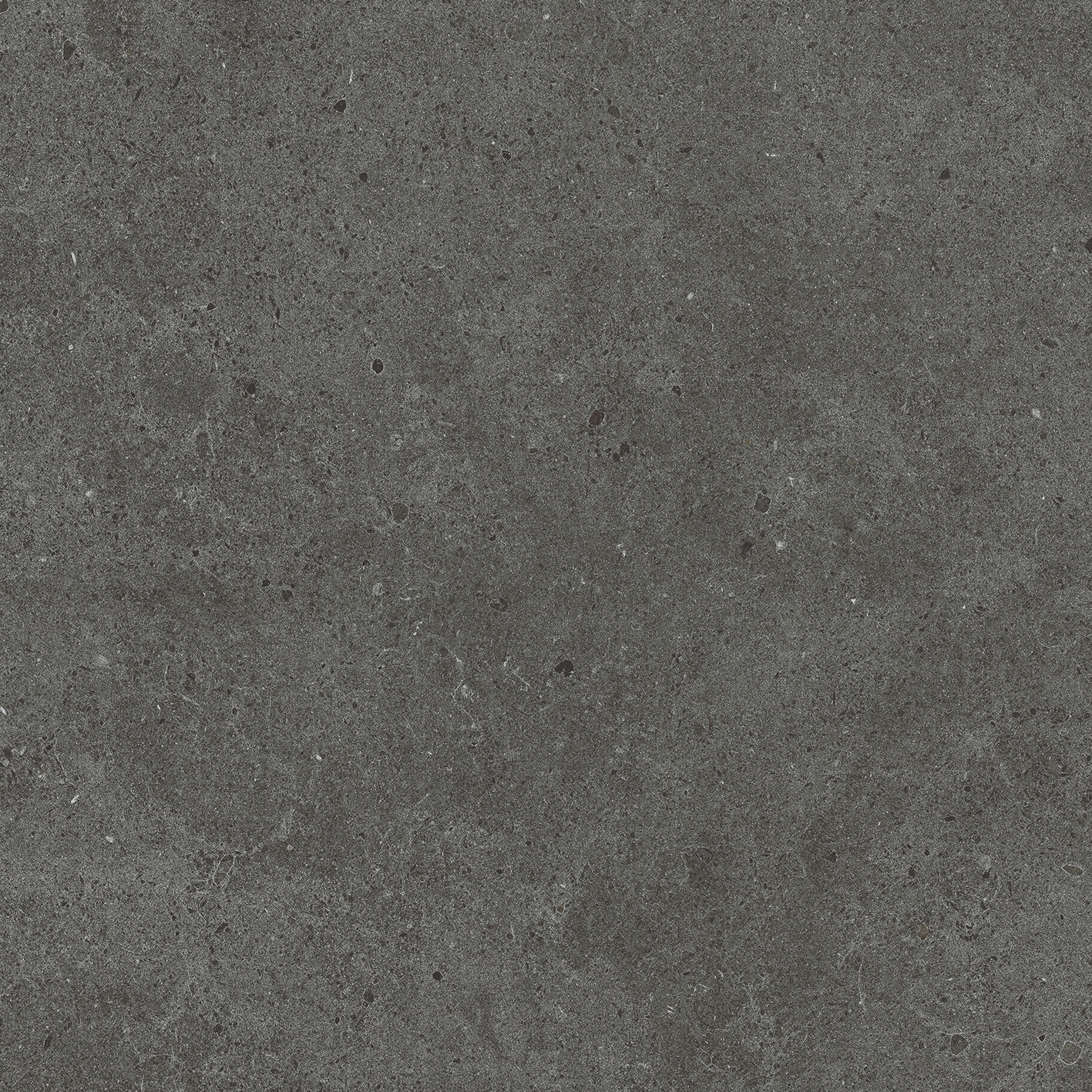 Solid Tones - 2350PC62