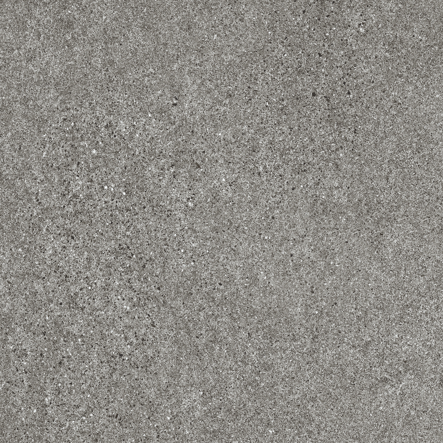Solid Tones - 2350PS61