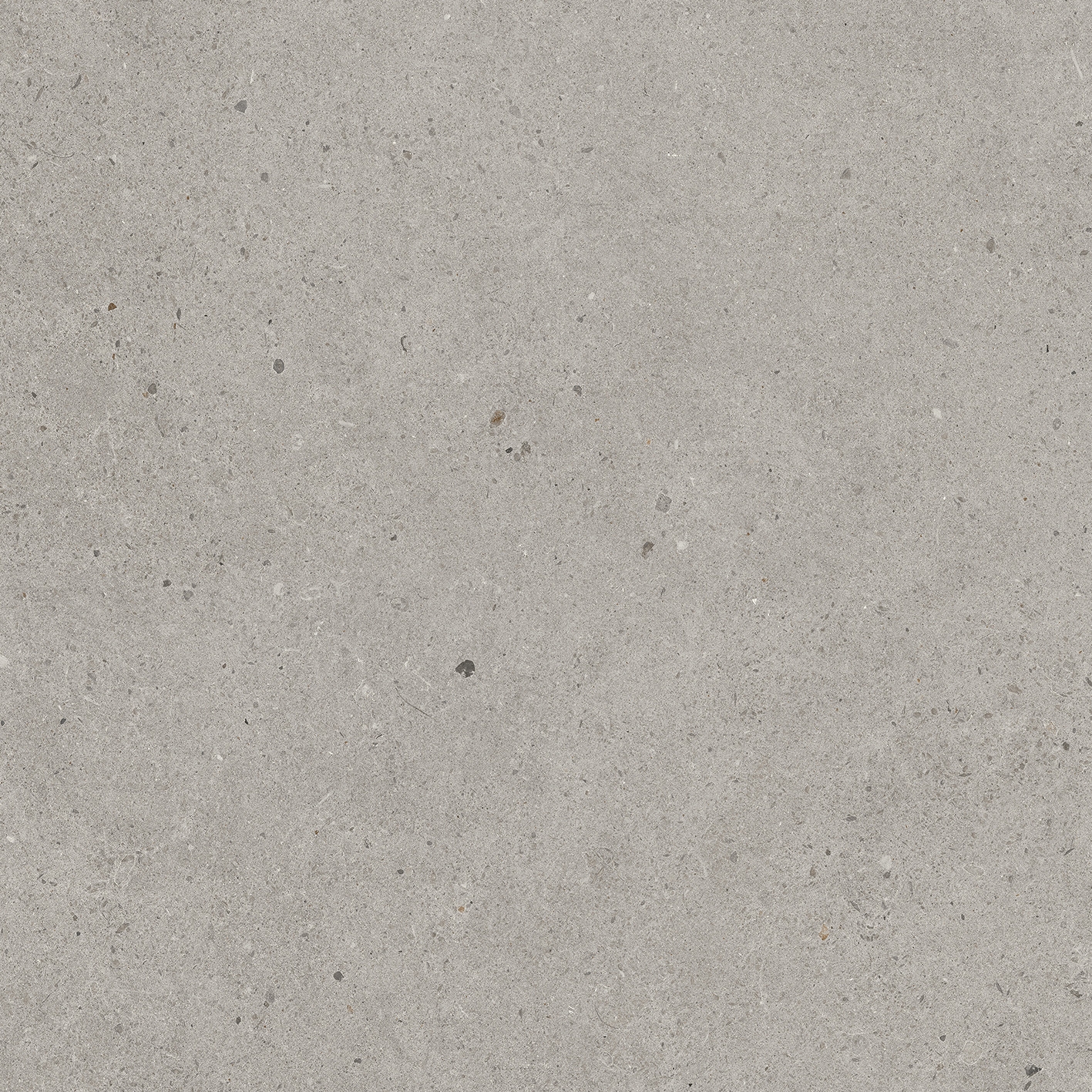 Solid Tones - 2521PC60