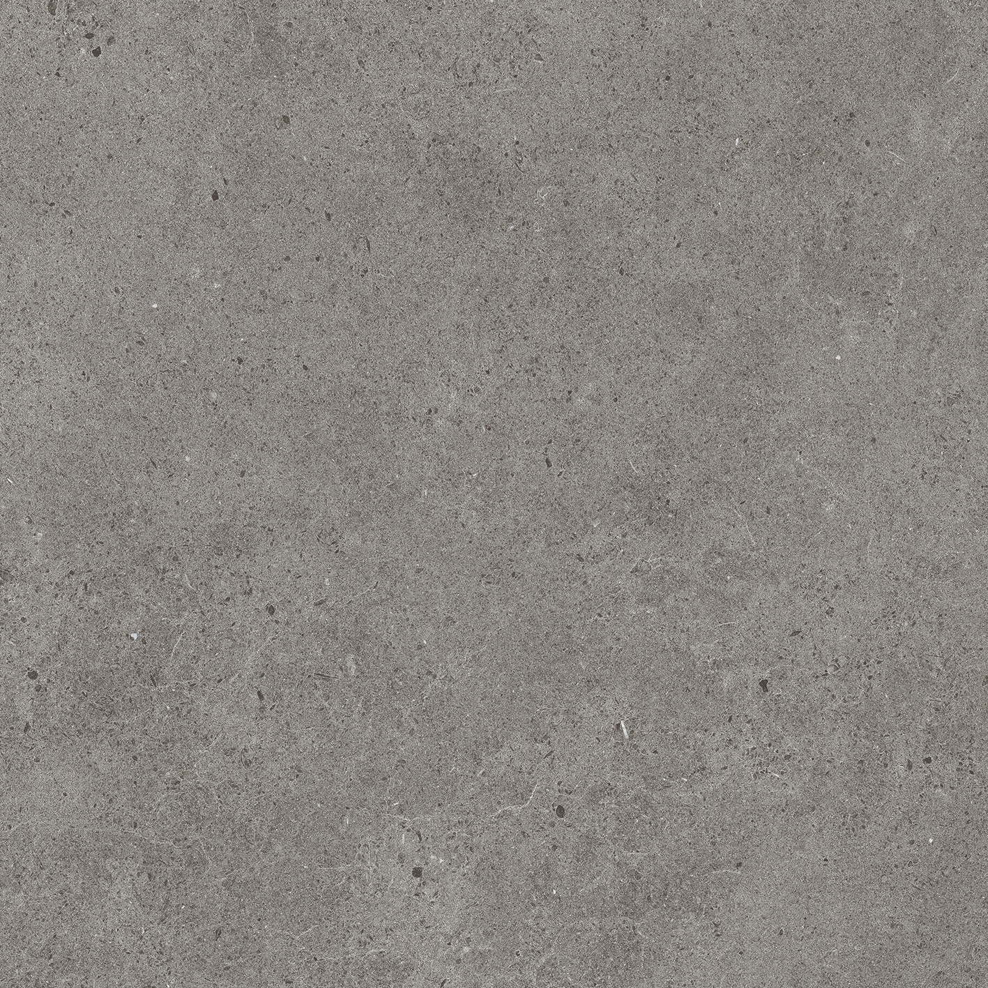 Solid Tones - 2521PC61