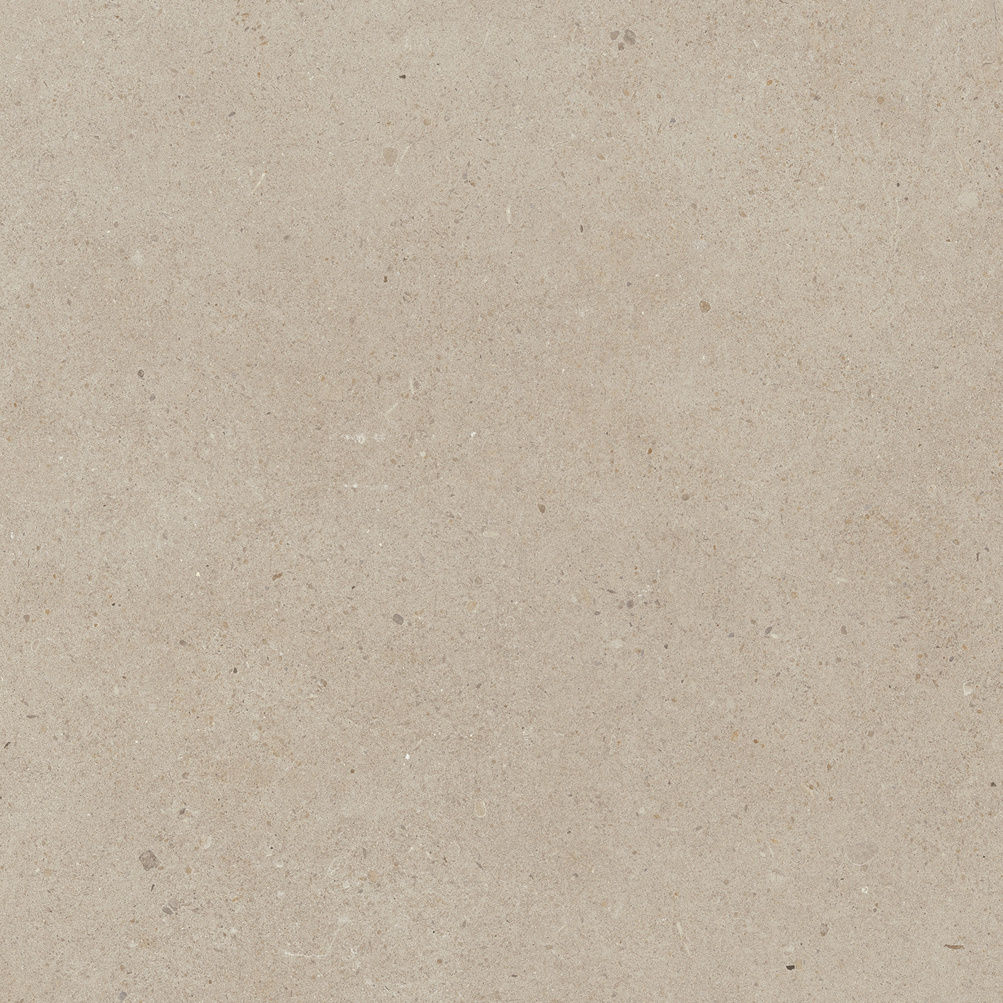 Solid Tones - 2521PC70