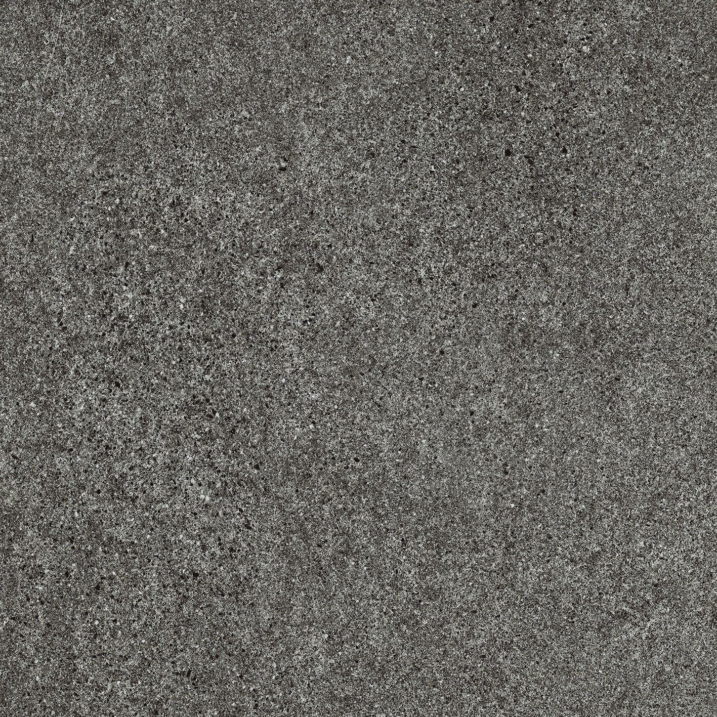 Solid Tones - 2521PS62