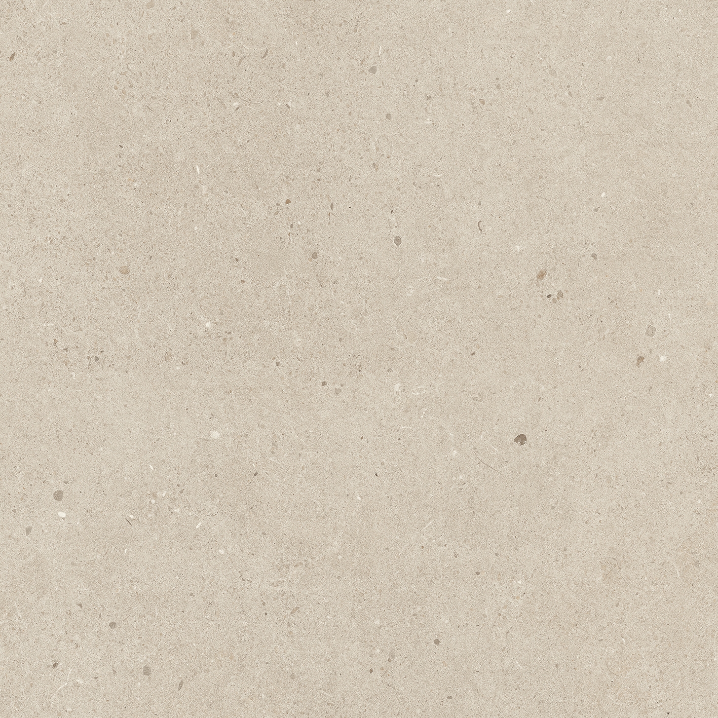 Solid Tones - 2578PC10