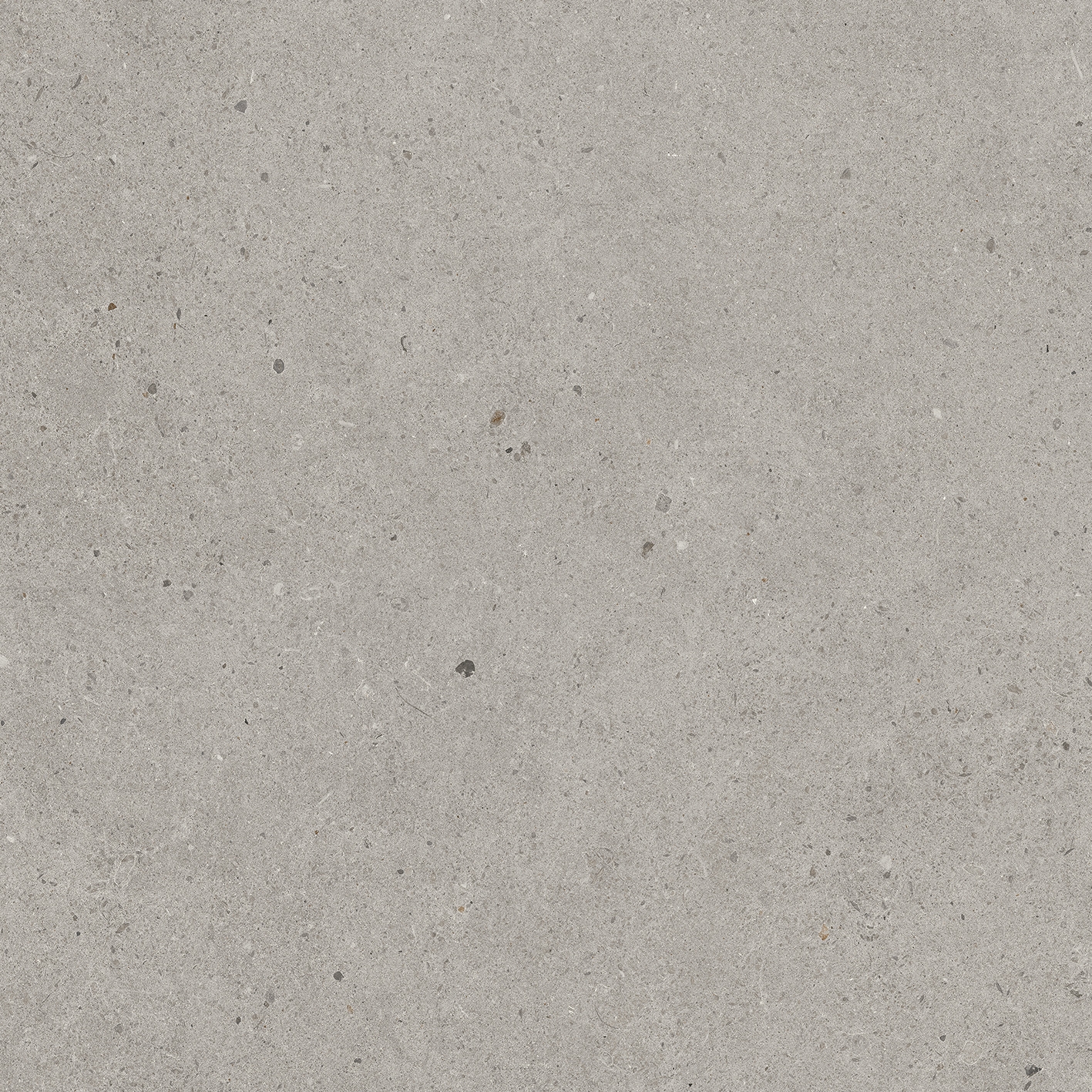Solid Tones - 2578PC60
