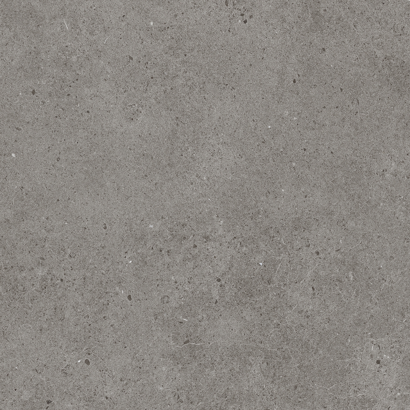 Solid Tones - 2578PC61