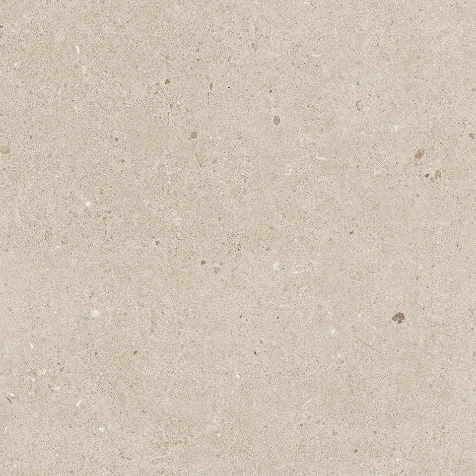 Solid Tones - 2621PC10