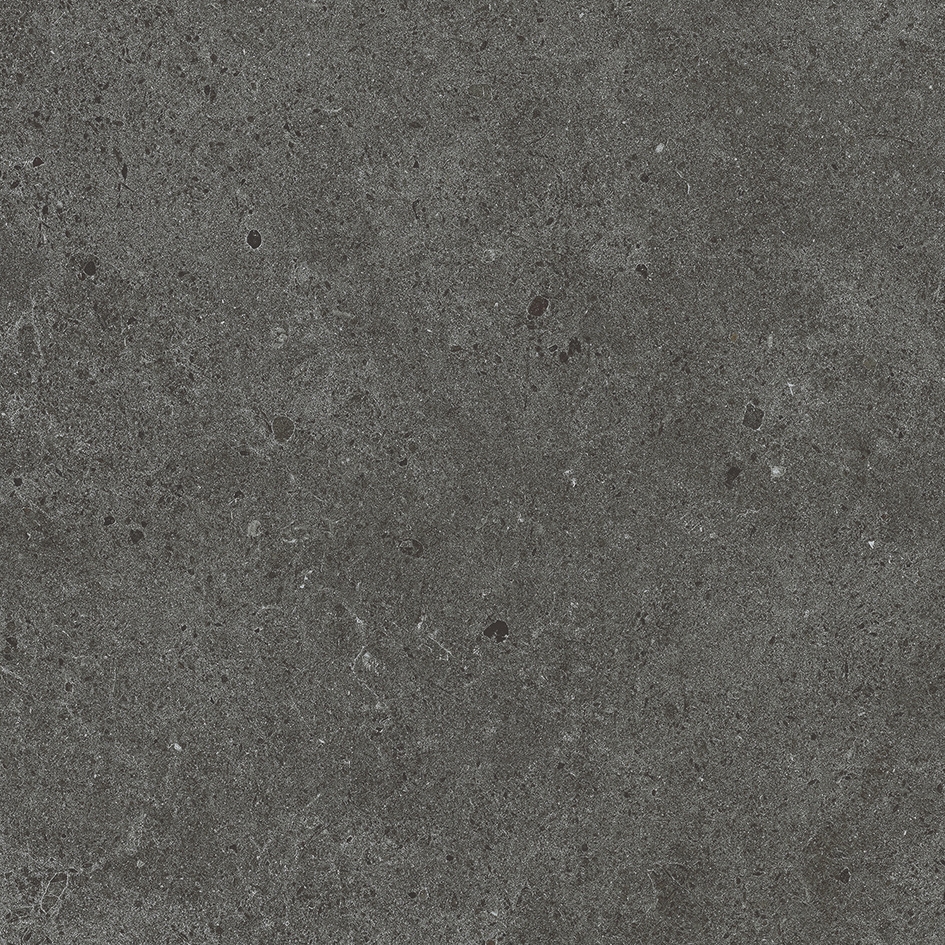 Solid Tones - 2621PC62