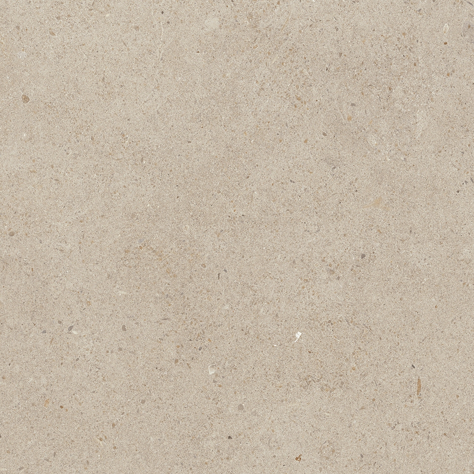 Solid Tones - 2621PC70