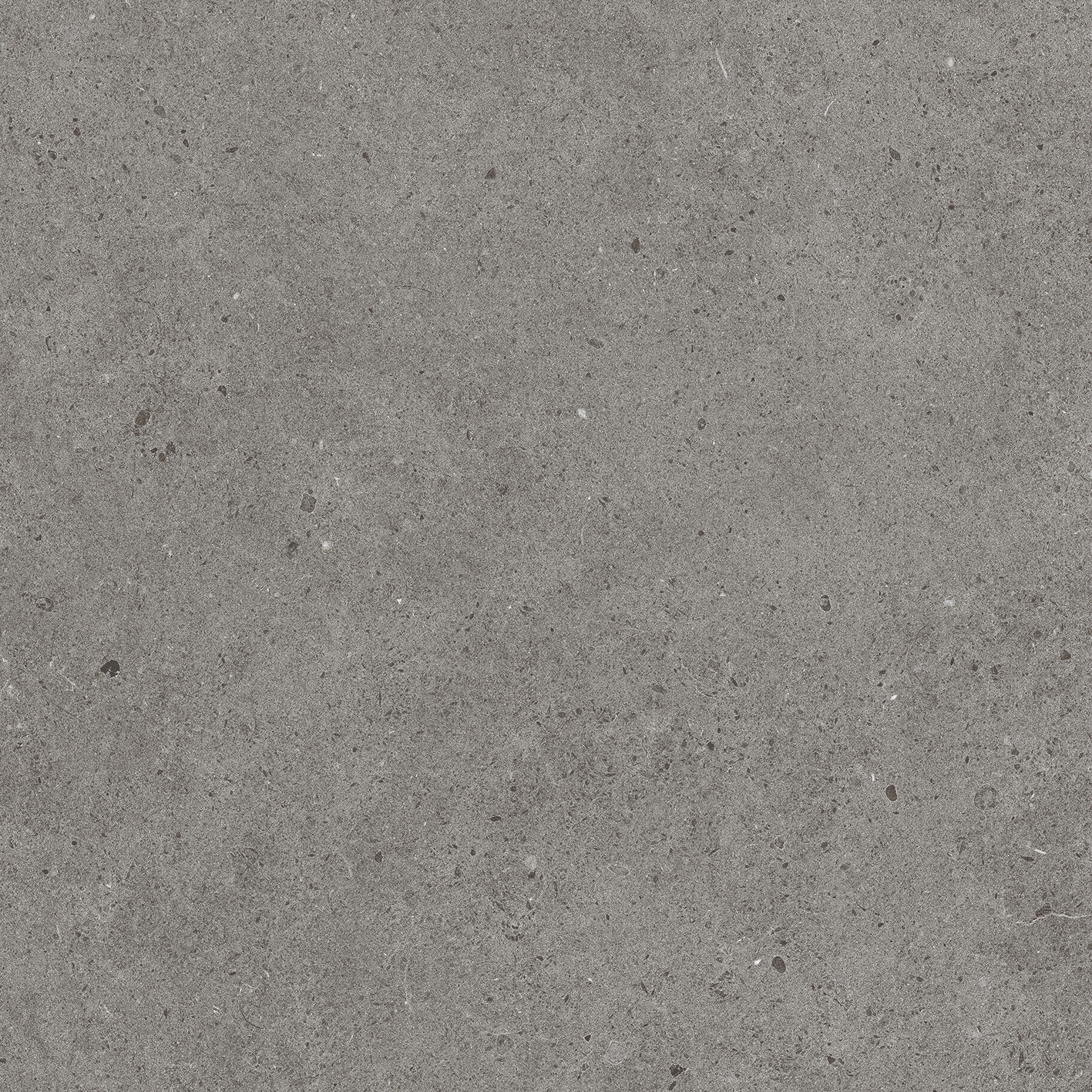 Solid Tones - 2685PC61