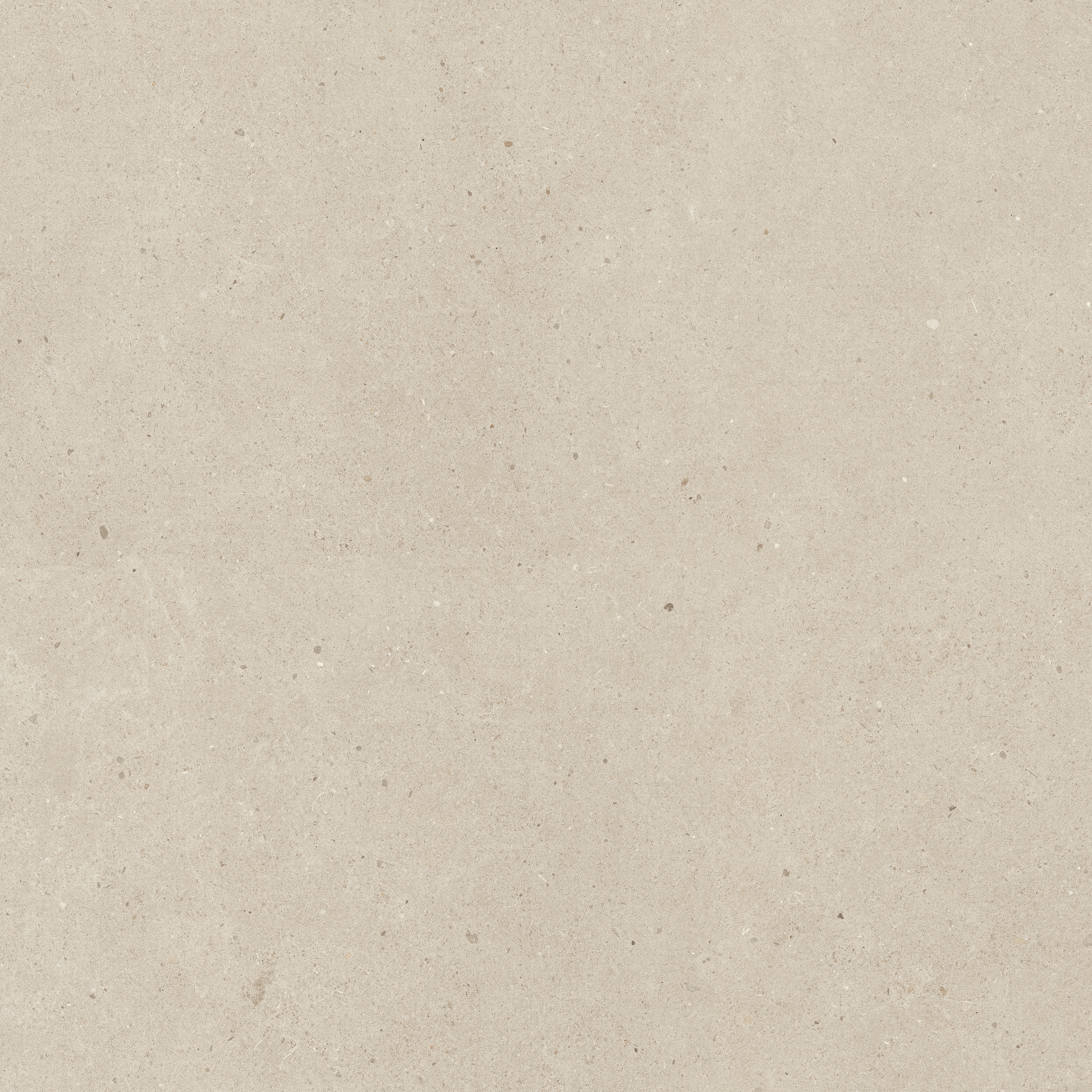 Solid Tones - 2737PC10