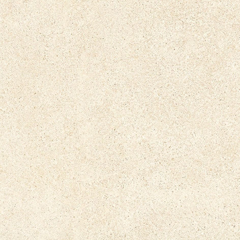 Solid Tones - 1450Pw00