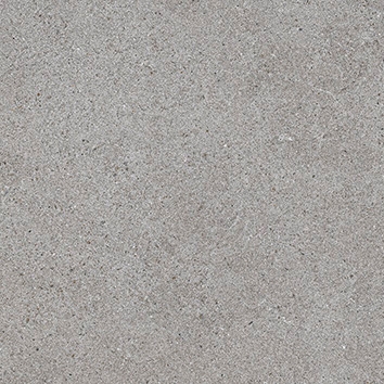 Solid Tones - 1581Pw62