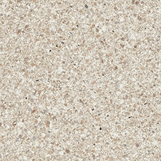 Solid Tones - 2062Pg10
