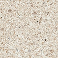 Solid Tones - 2417Pg10