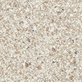 Solid Tones - 2417Pg10