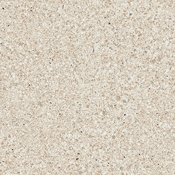 Solid Tones - 2578Pg10
