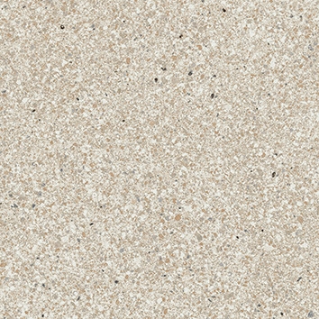 Solid Tones - 2578Pg10