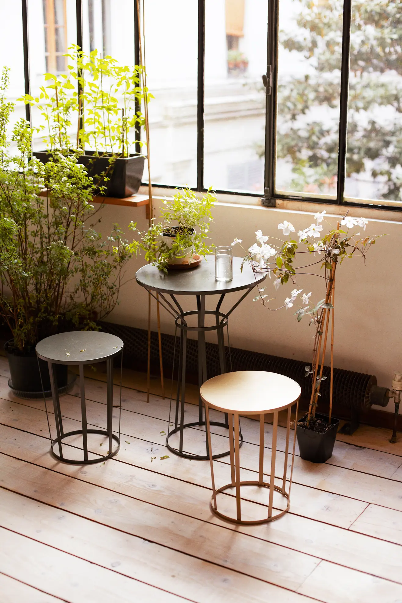Petite Friture - Hollo | Coffee table
