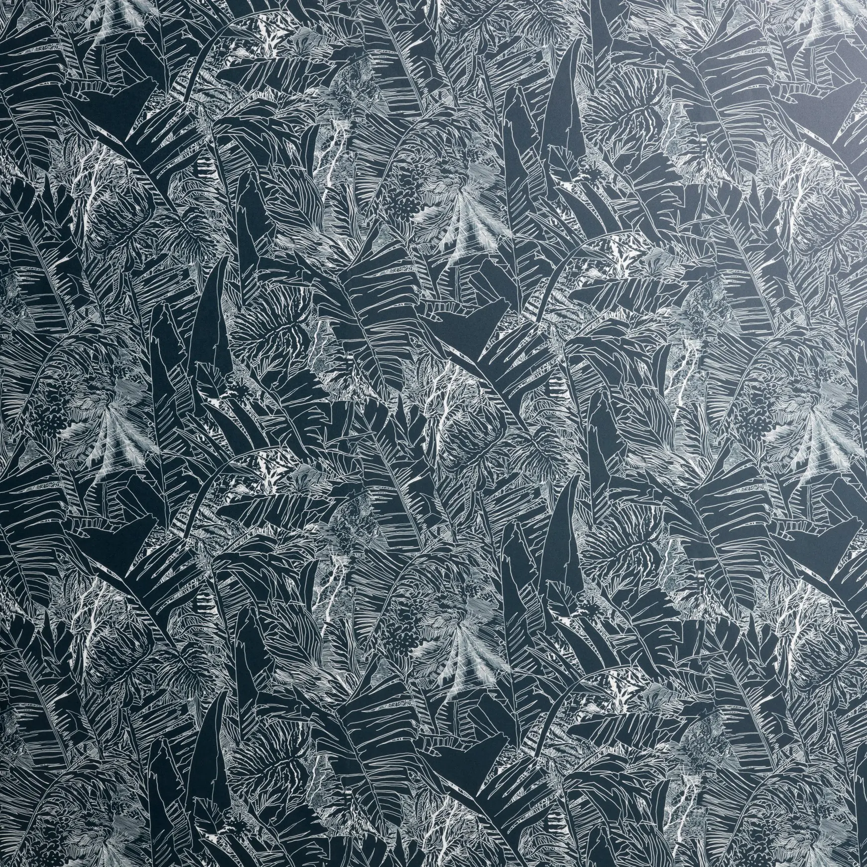 Petite Friture - Jungle | Papier-peint blanc sur noir