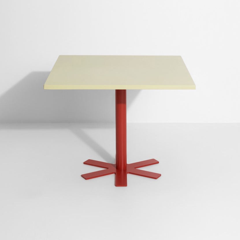 Parrot | Small