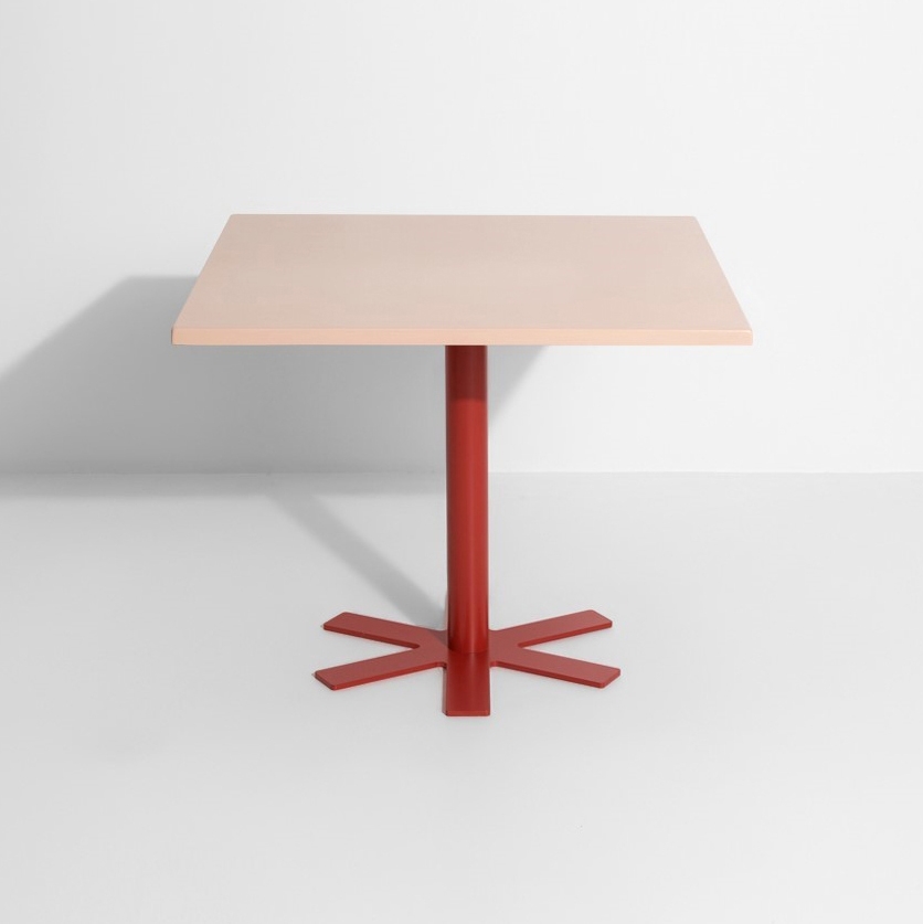 Parrot | Small