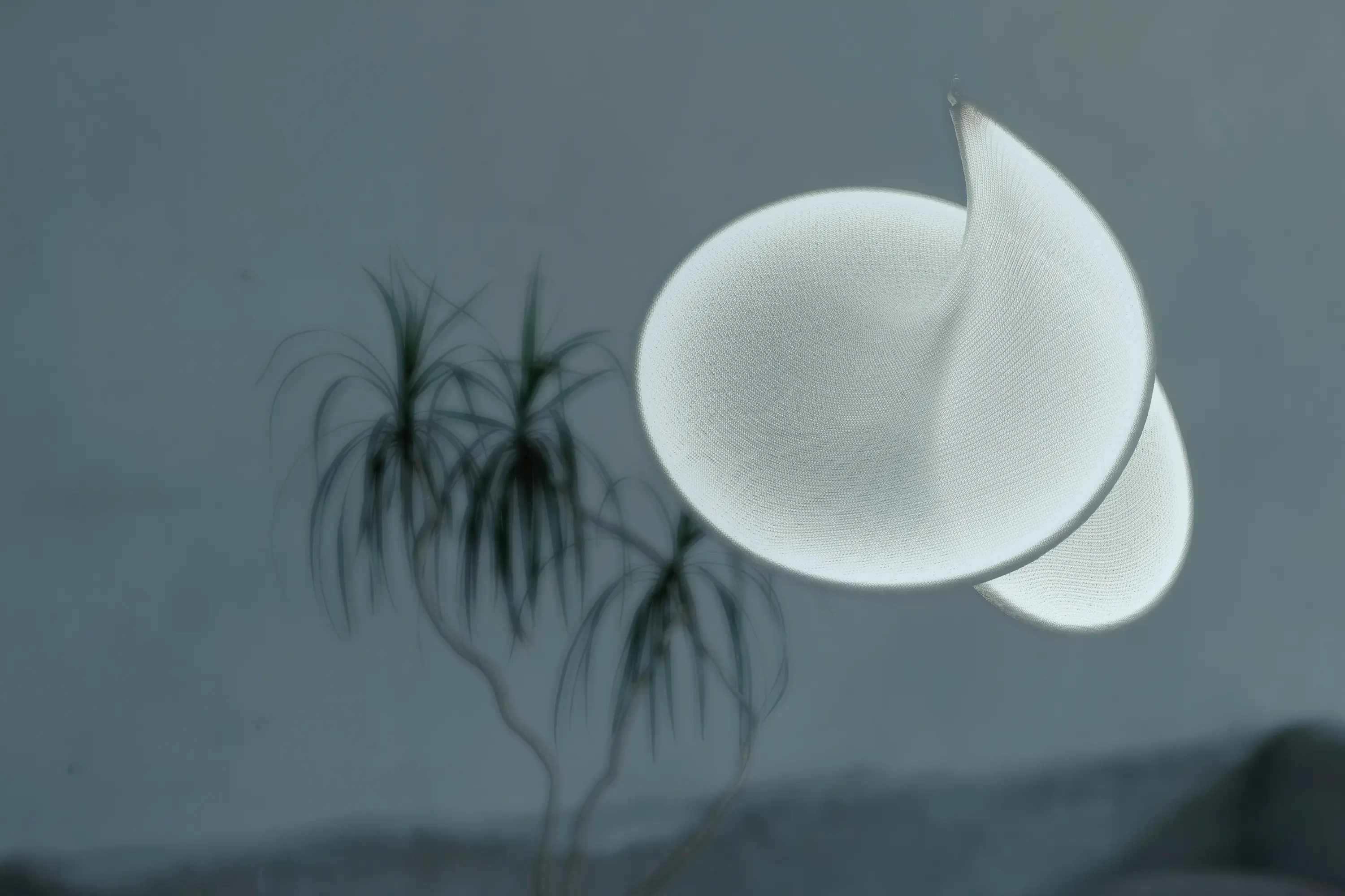 llll - llll.01 suspension | white