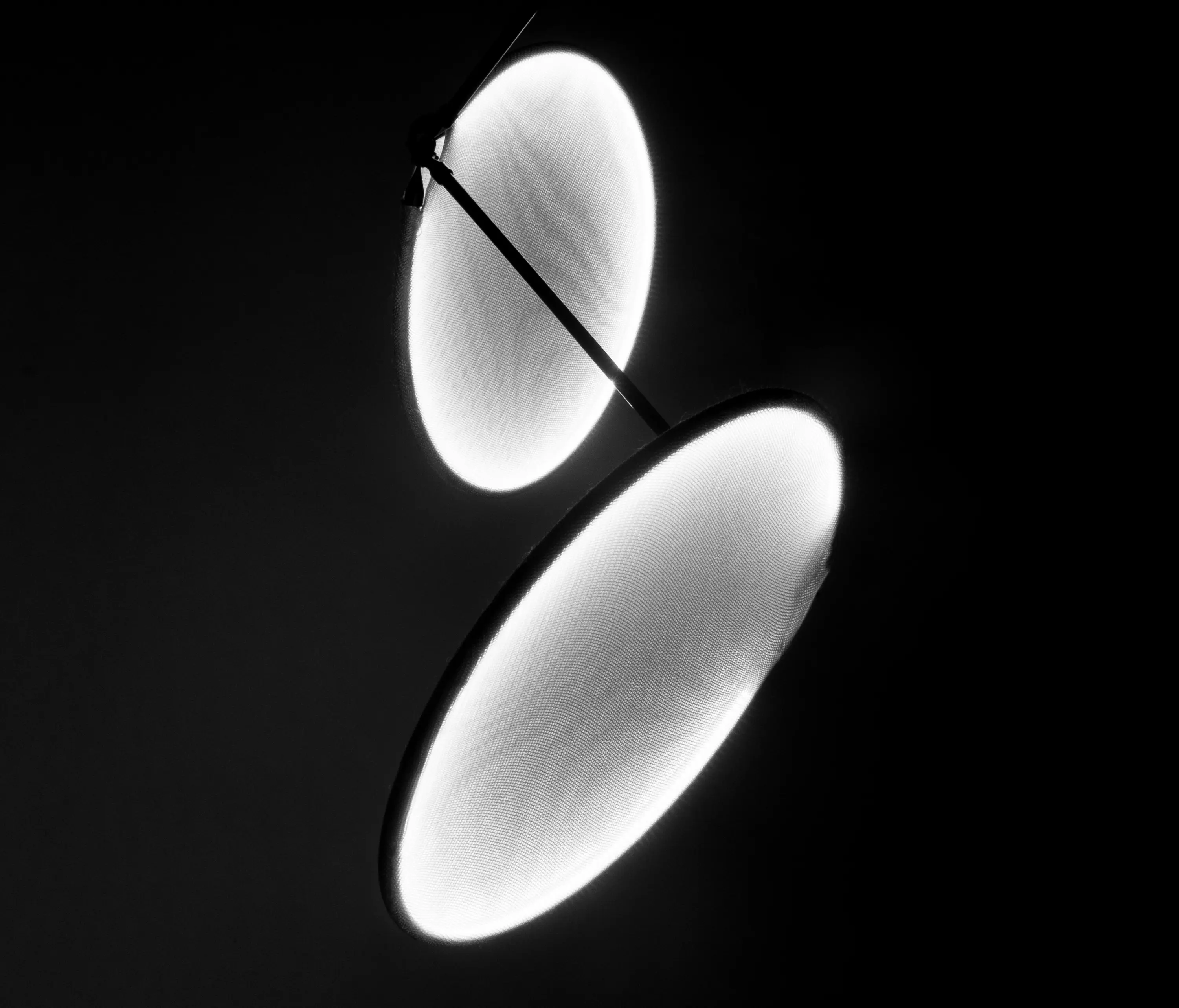 llll - llll.03 suspended double | white