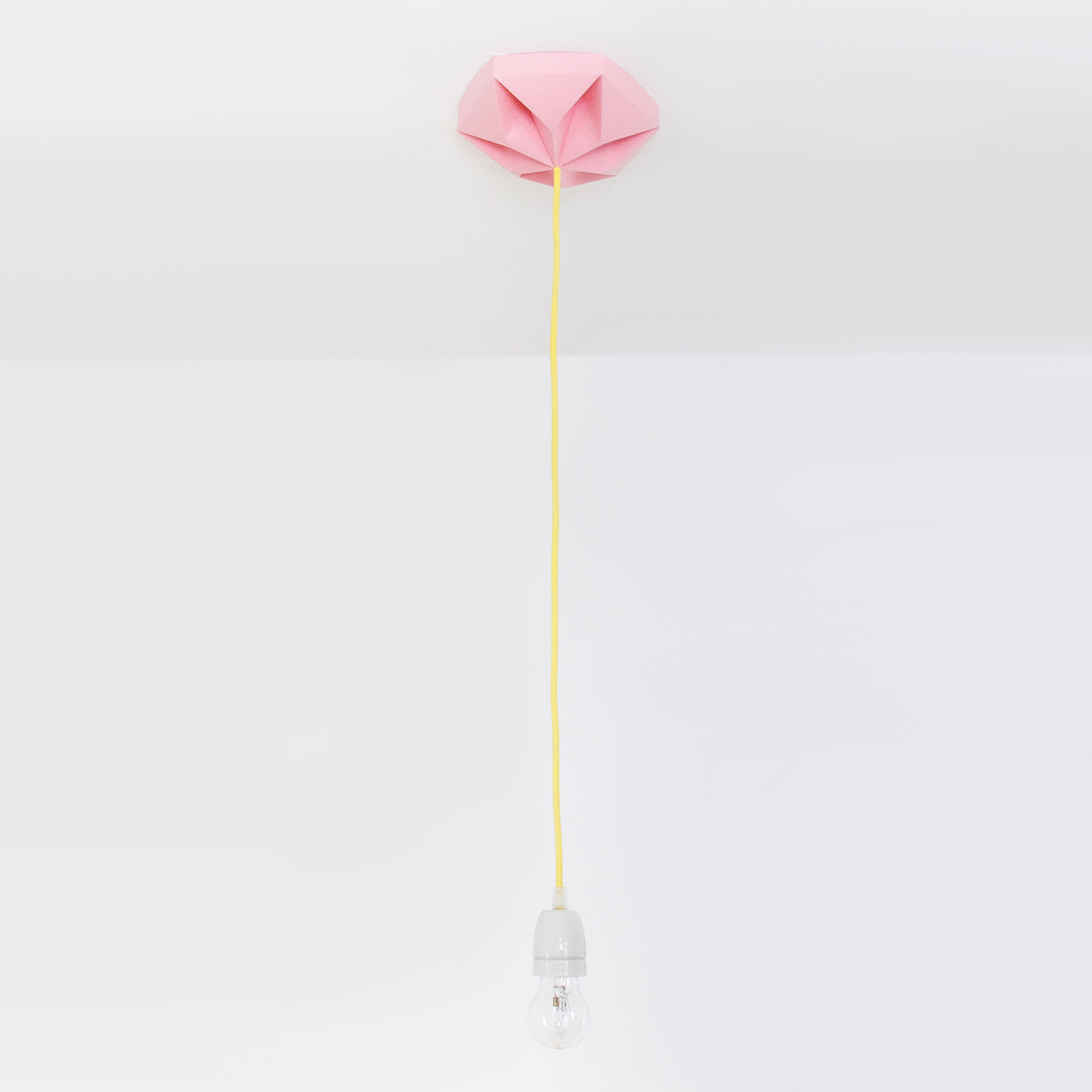 Display product Kroonuppe Ceilingrose - Pink from manufacturer Studio Snowpuppe