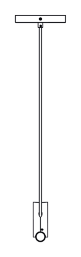 Thumbnail for image 5