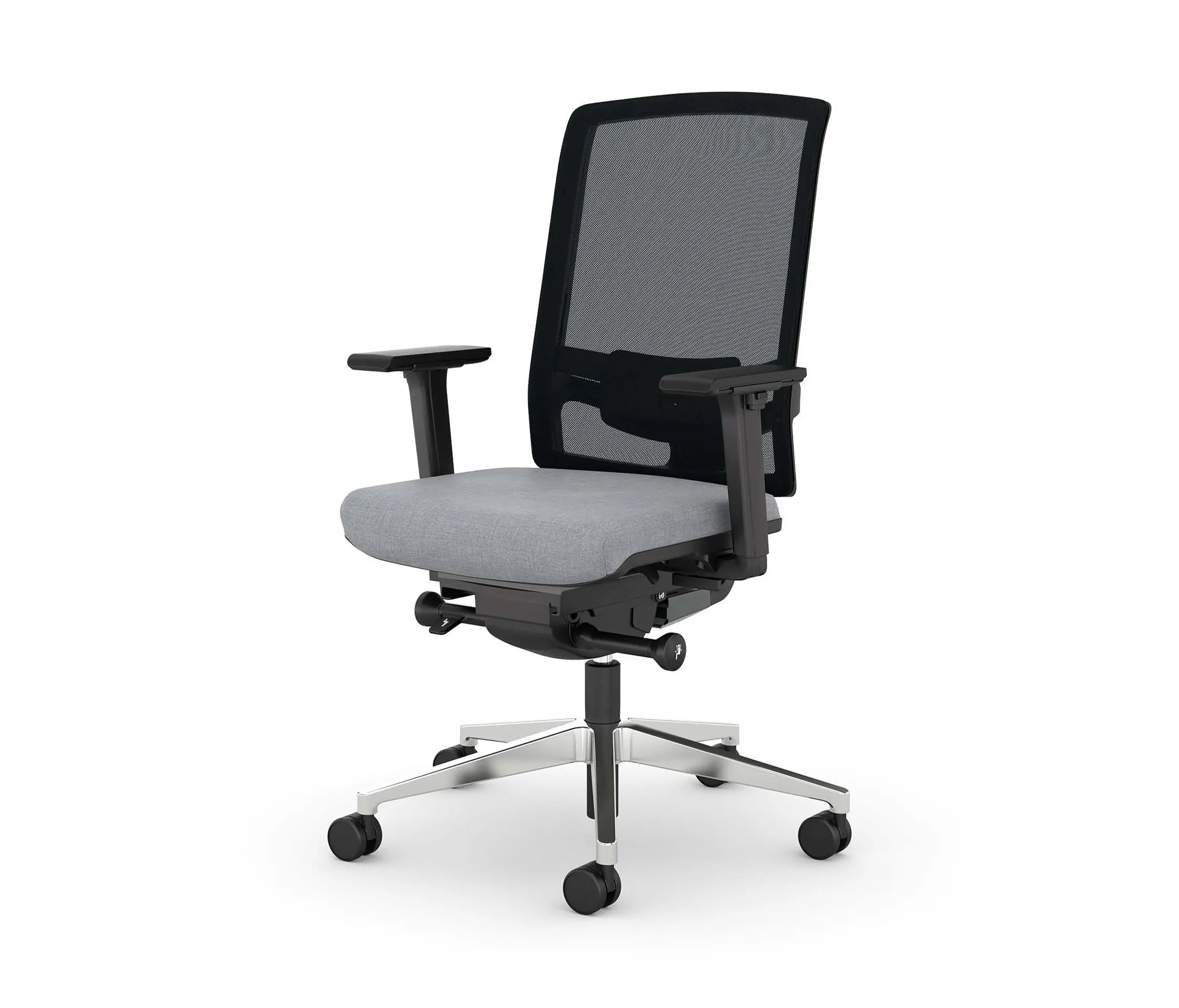 Viasit - F1 Move Netzrücken