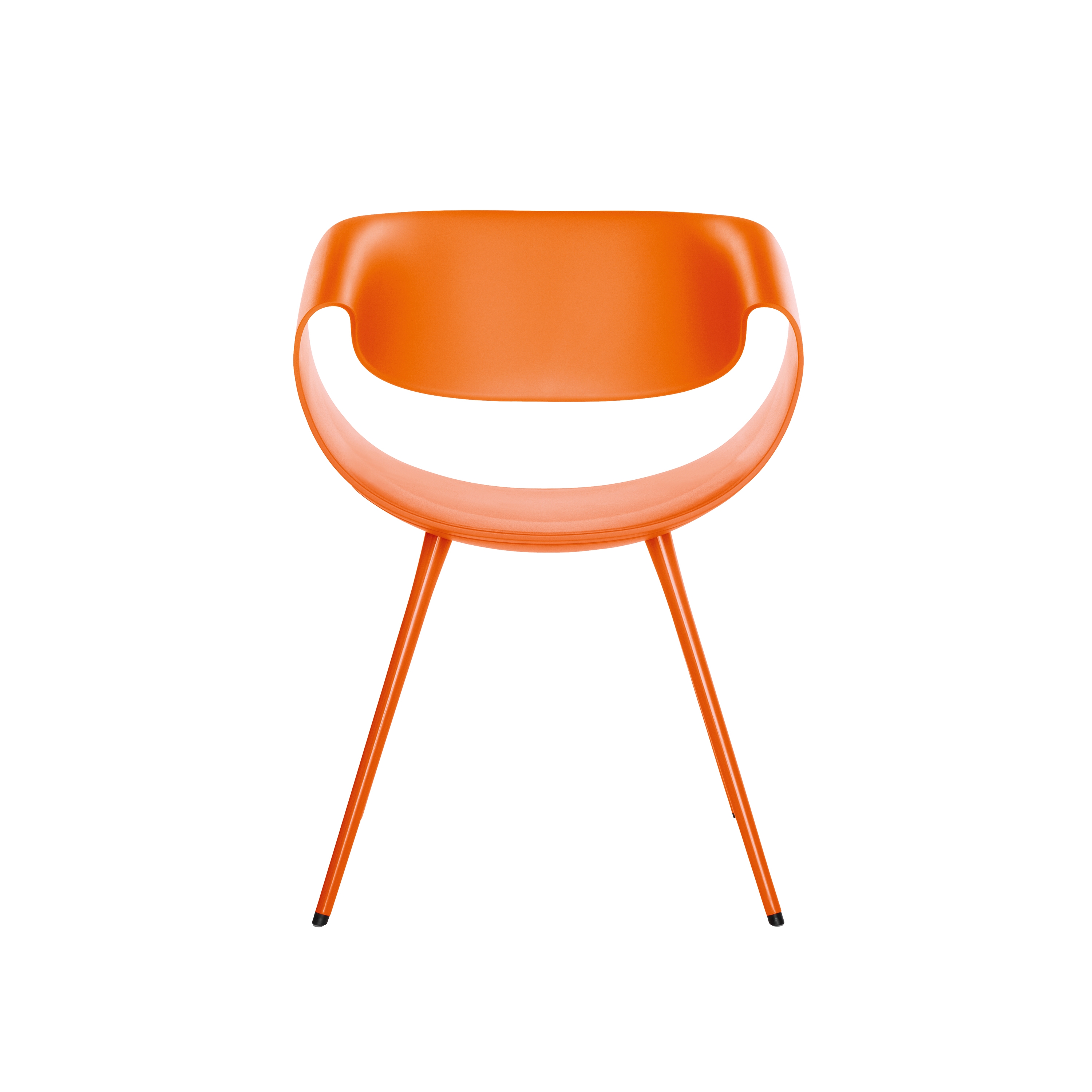 Display product Little Perillo from manufacturer Dauphin Home