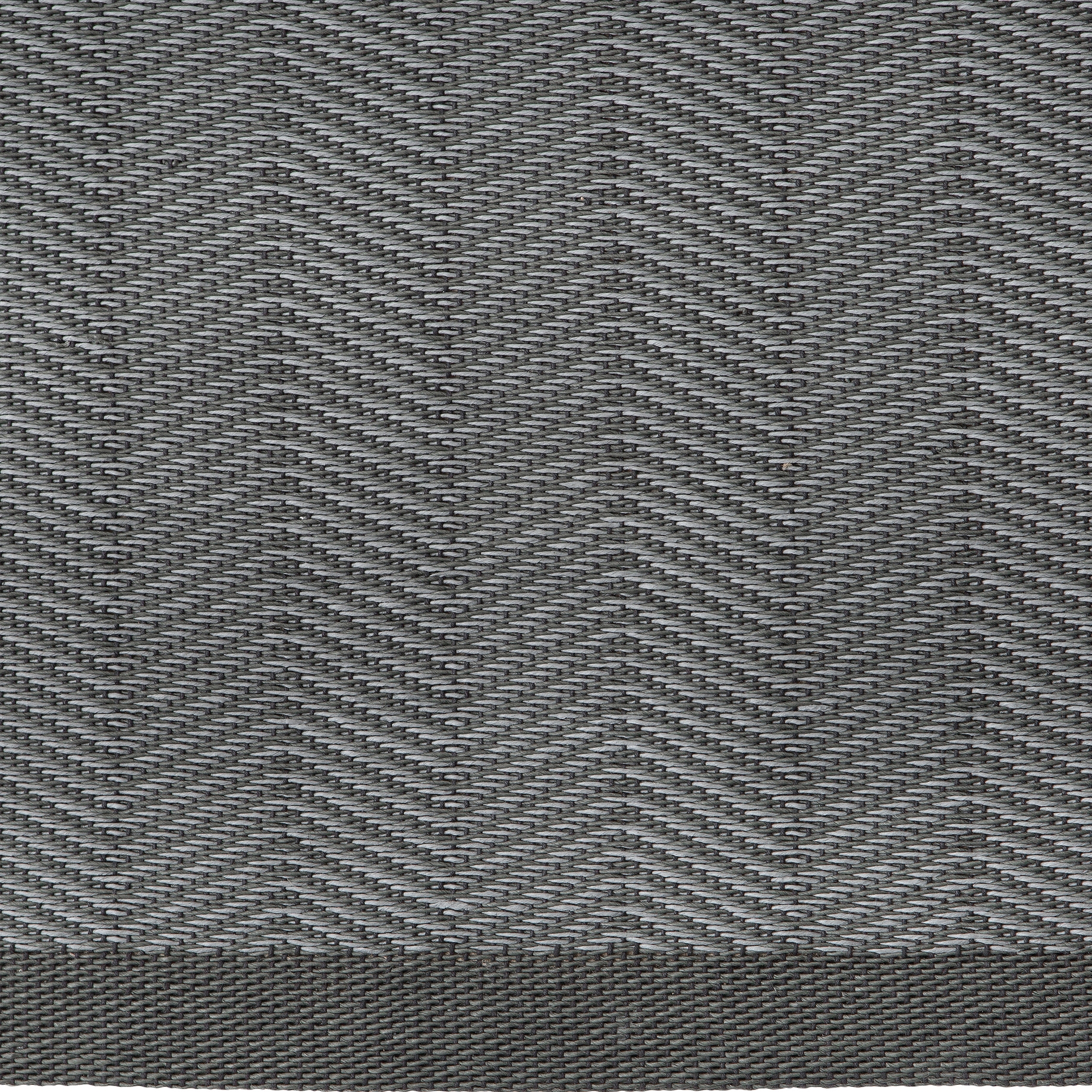 Ulmus