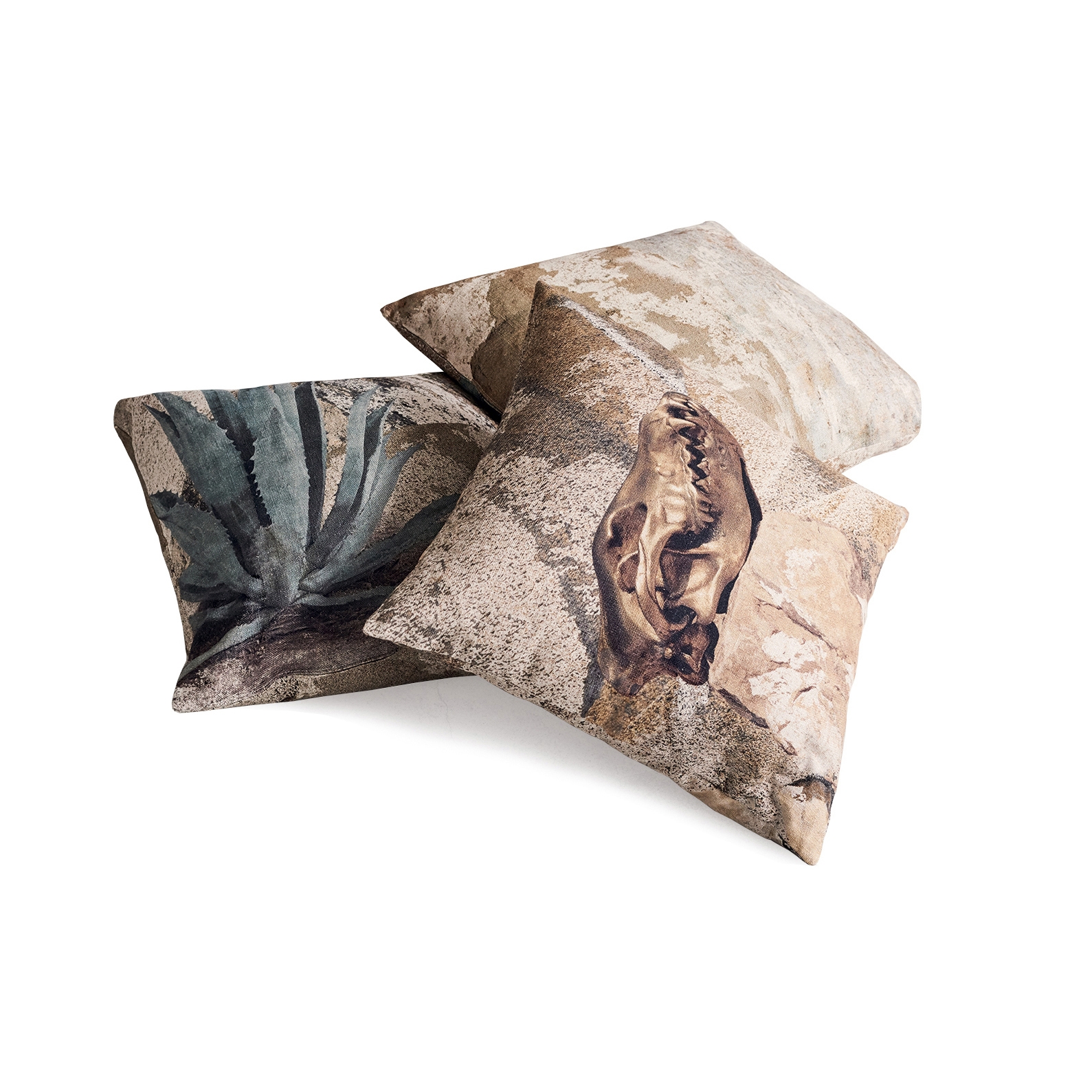 Display product Pillows from manufacturer Diesel with Moroso