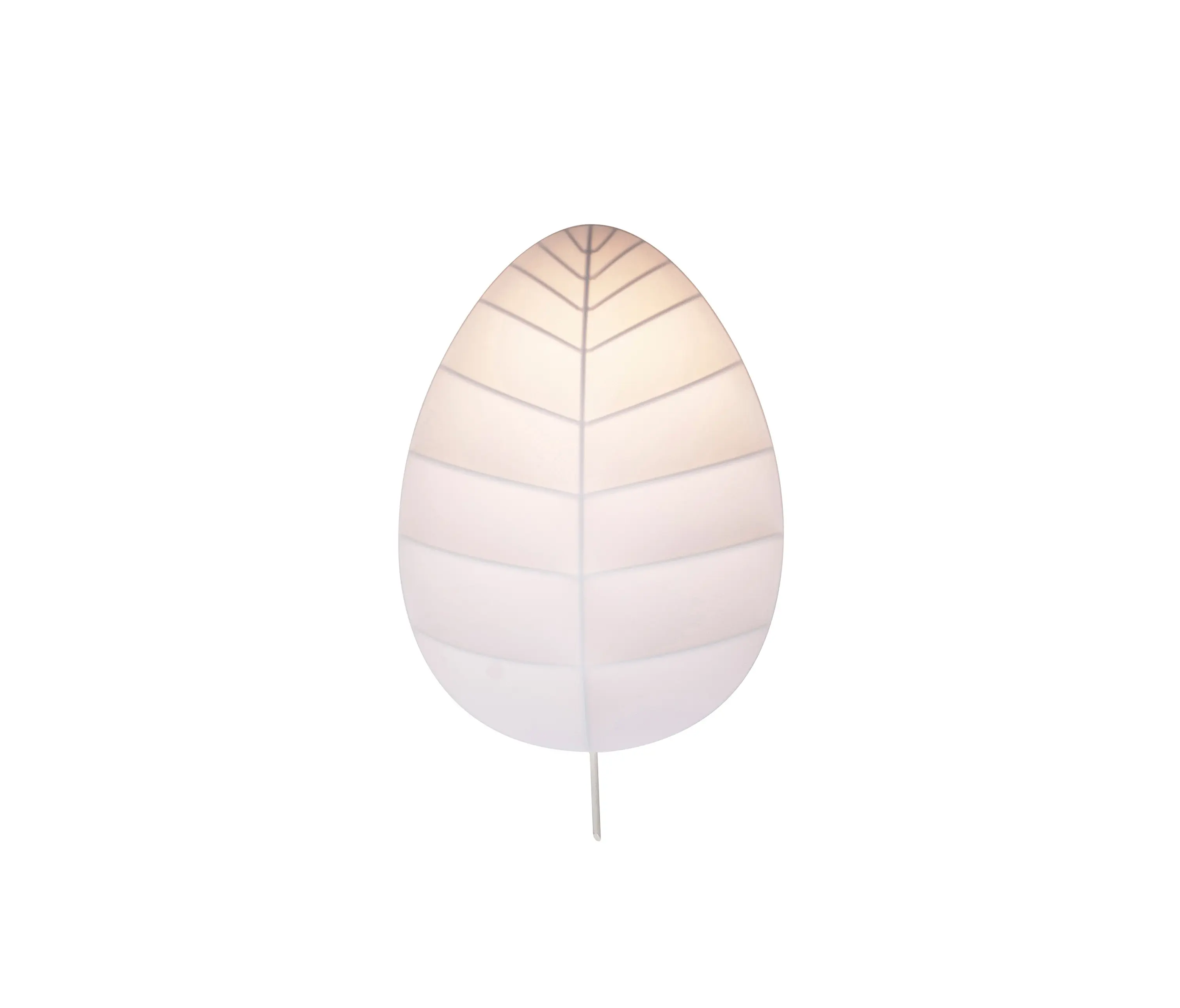 Karman - EDEN EVA AP103 3B INT