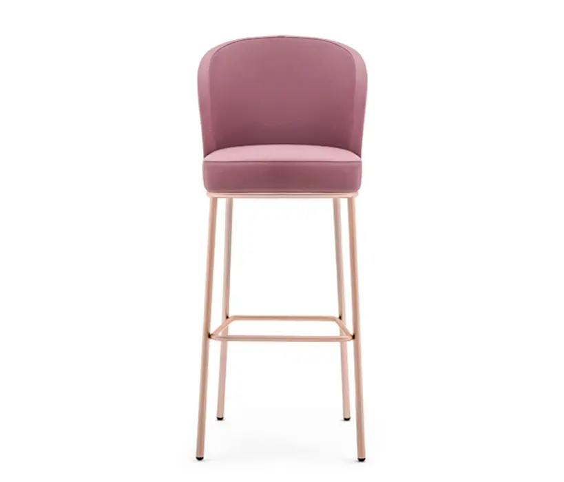 Montbel - Rose 03981