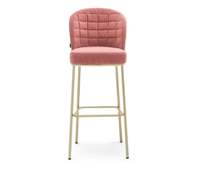 Montbel - Rose 03984