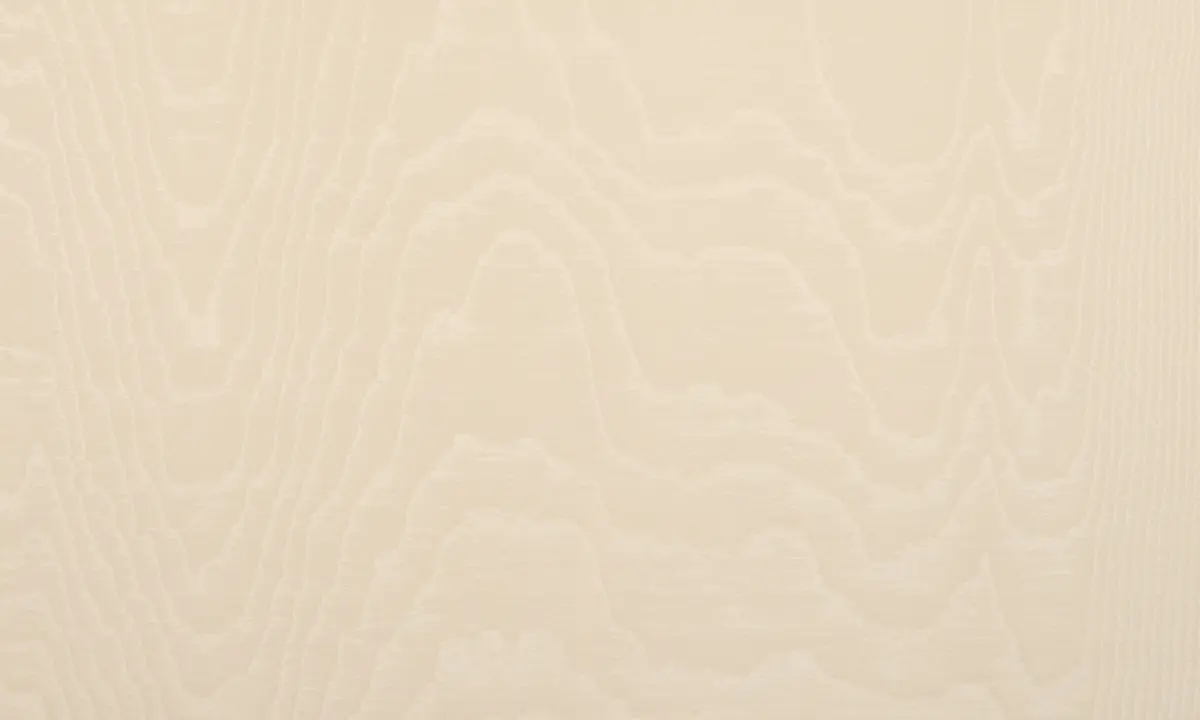 Arte - Camouflage