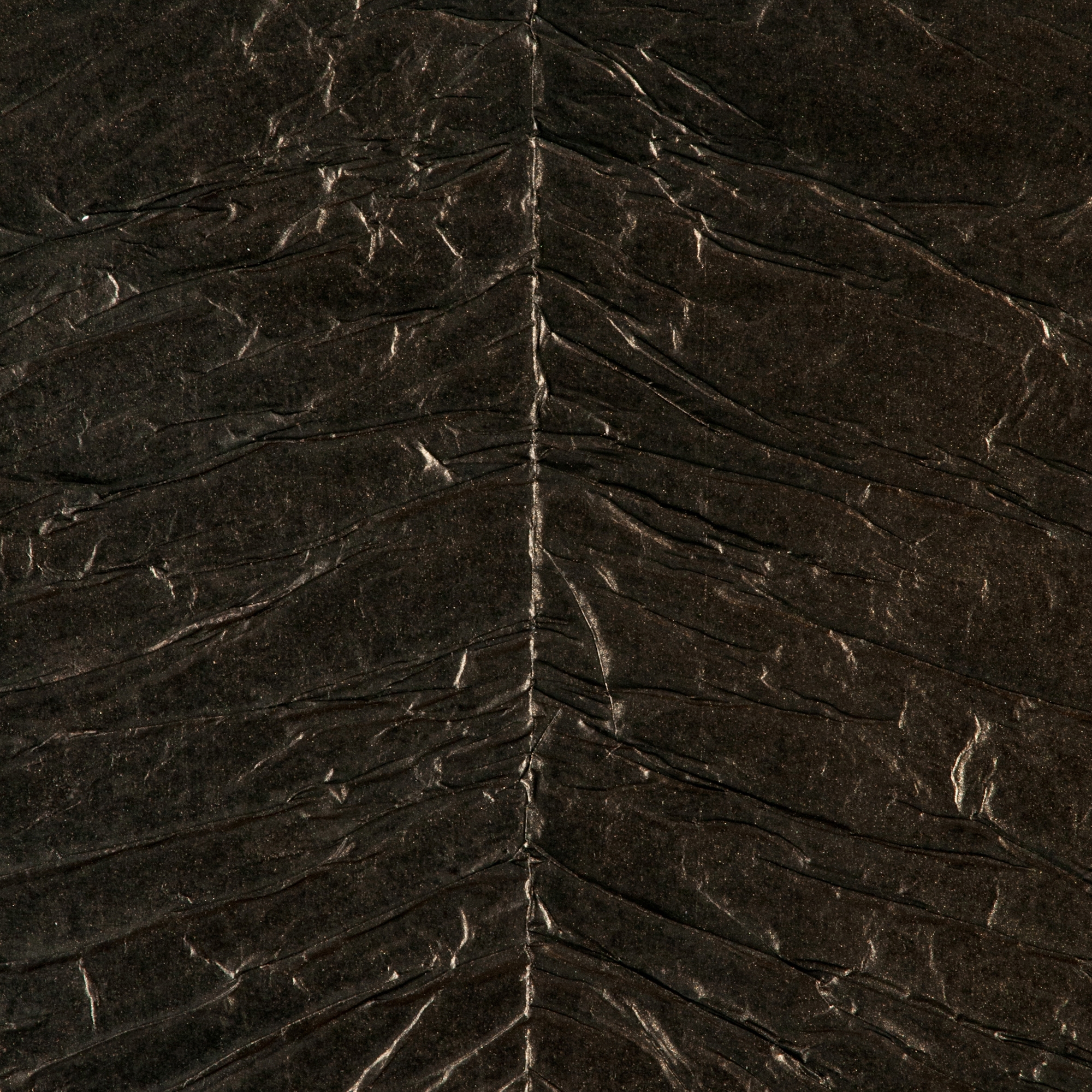 Mostrar el producto Coriolis Ventus del fabricante Arte