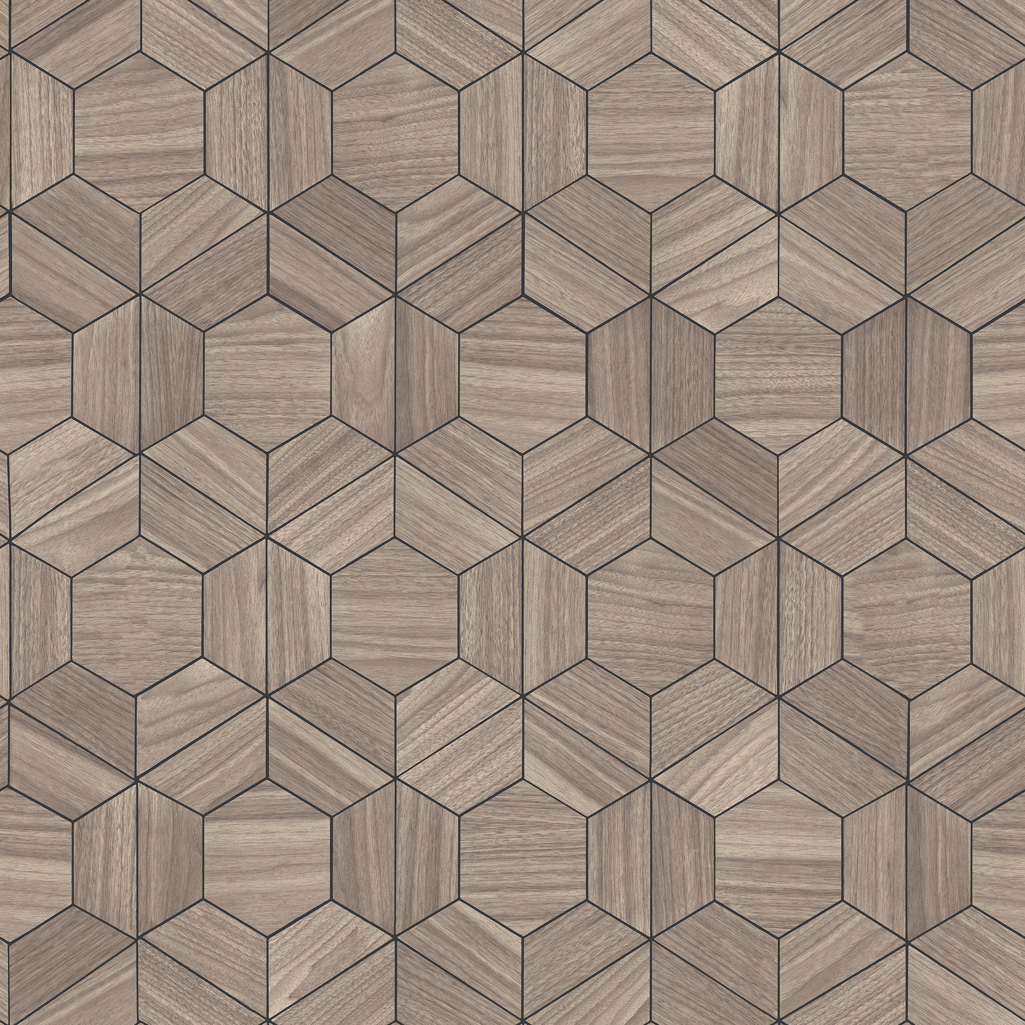Ligna Hive