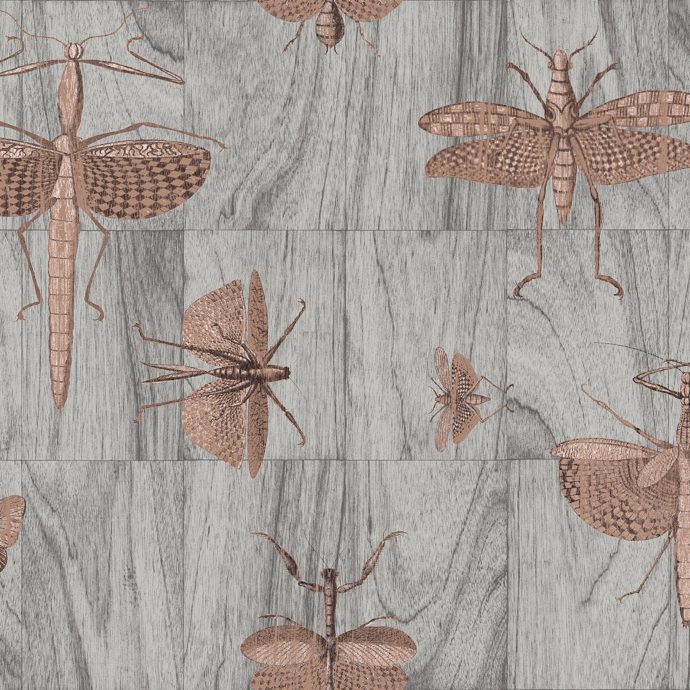 Ligna Wings