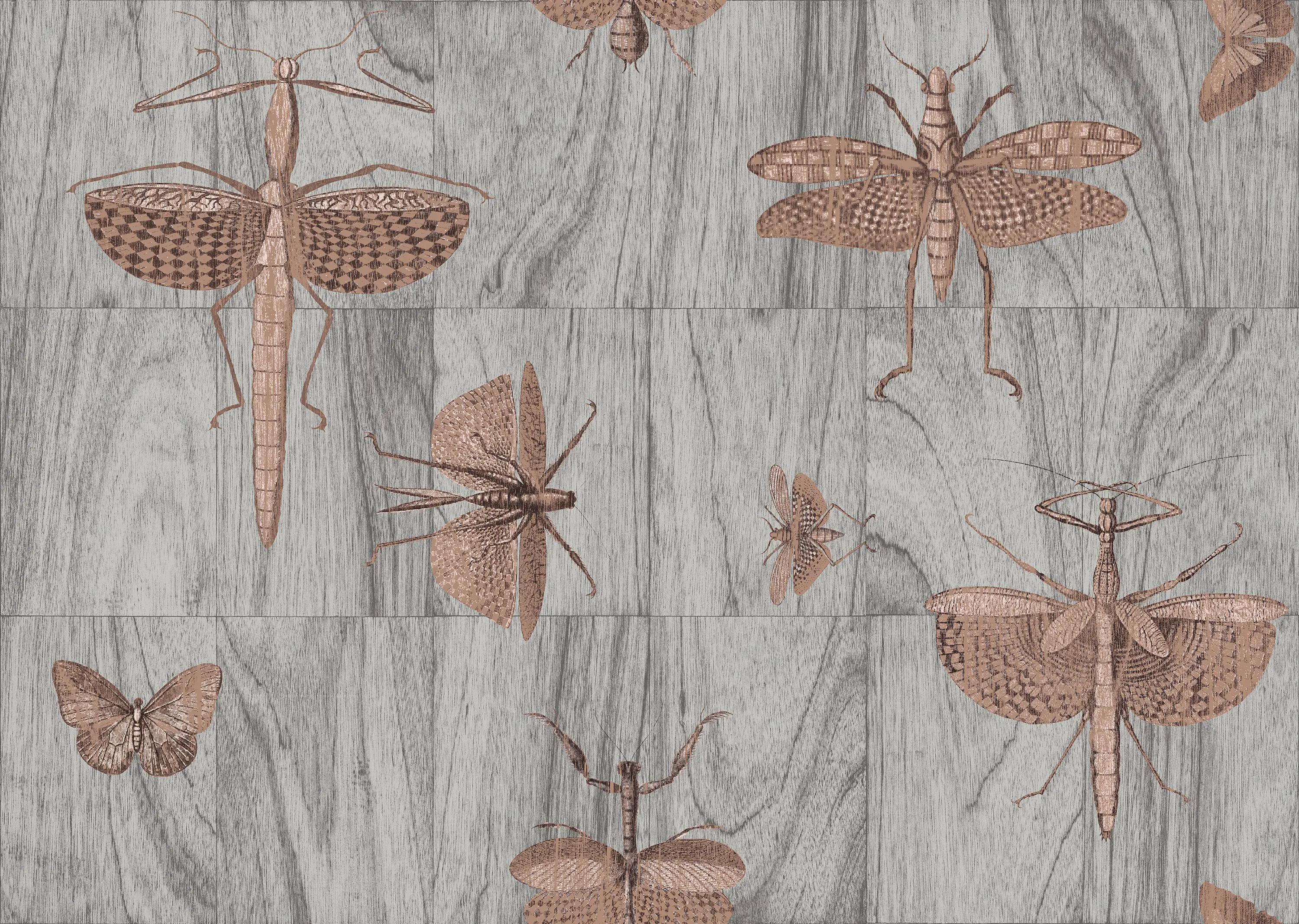 Arte - Ligna Wings