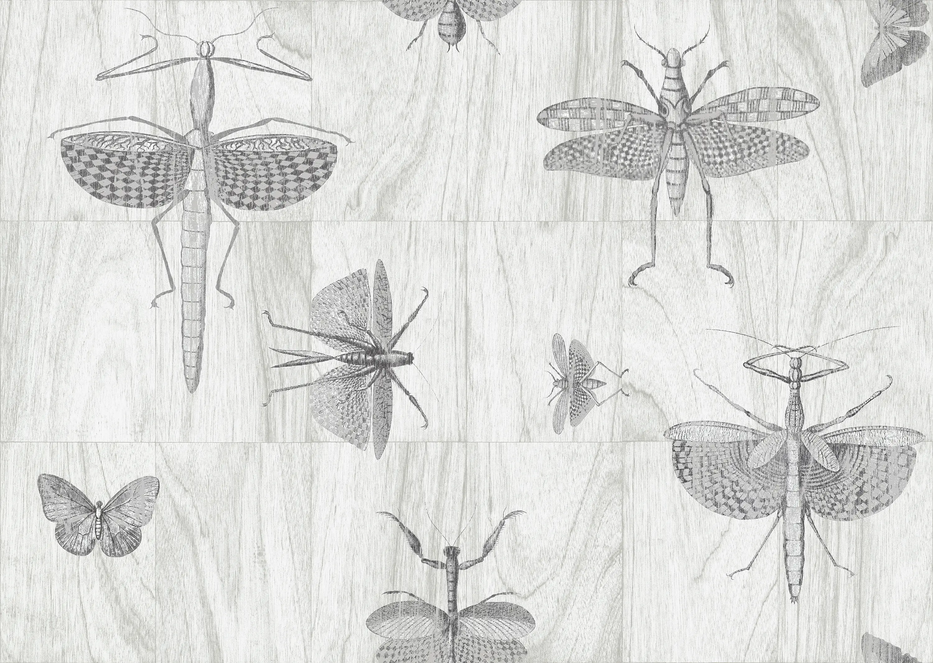 Arte - Ligna Wings