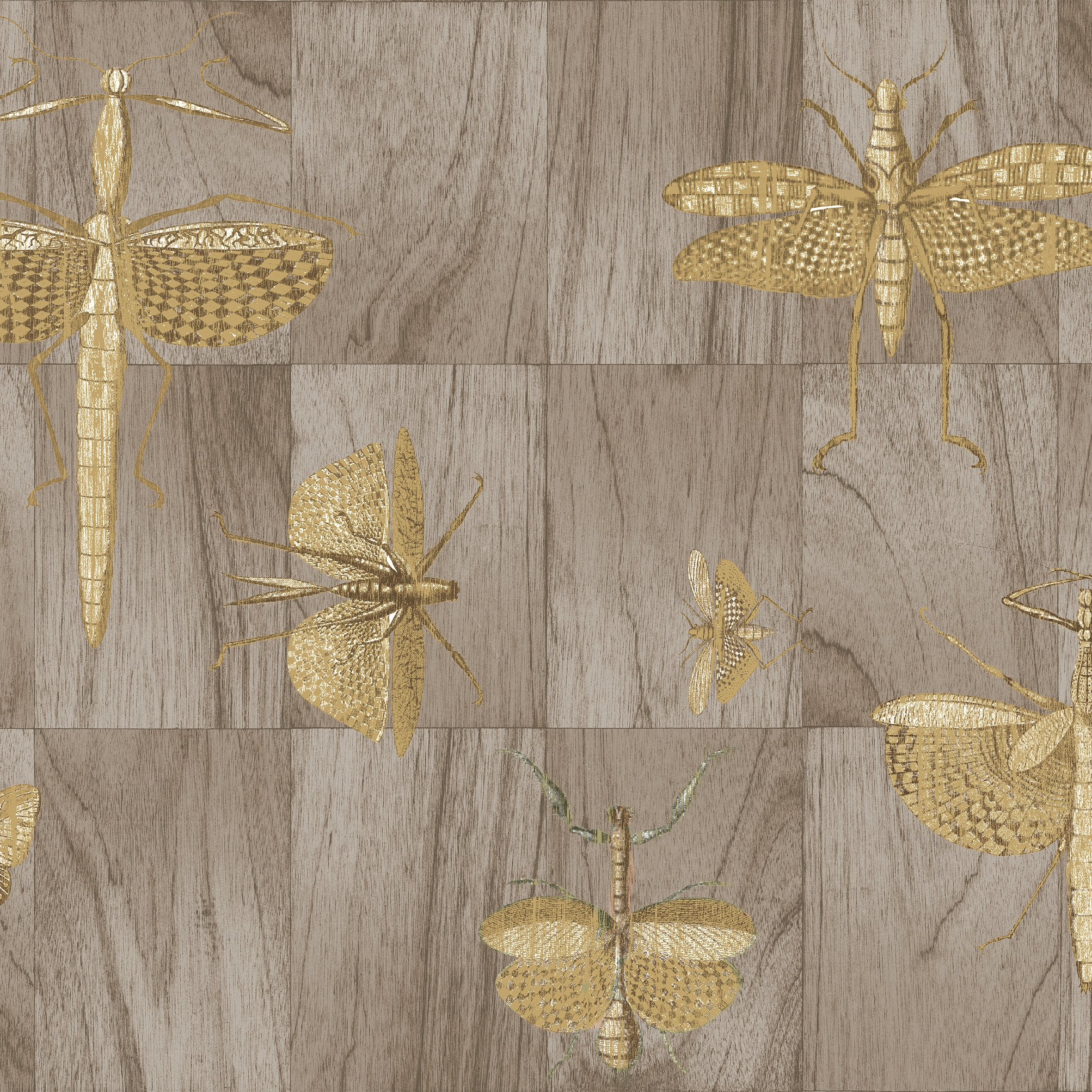 Ligna Wings