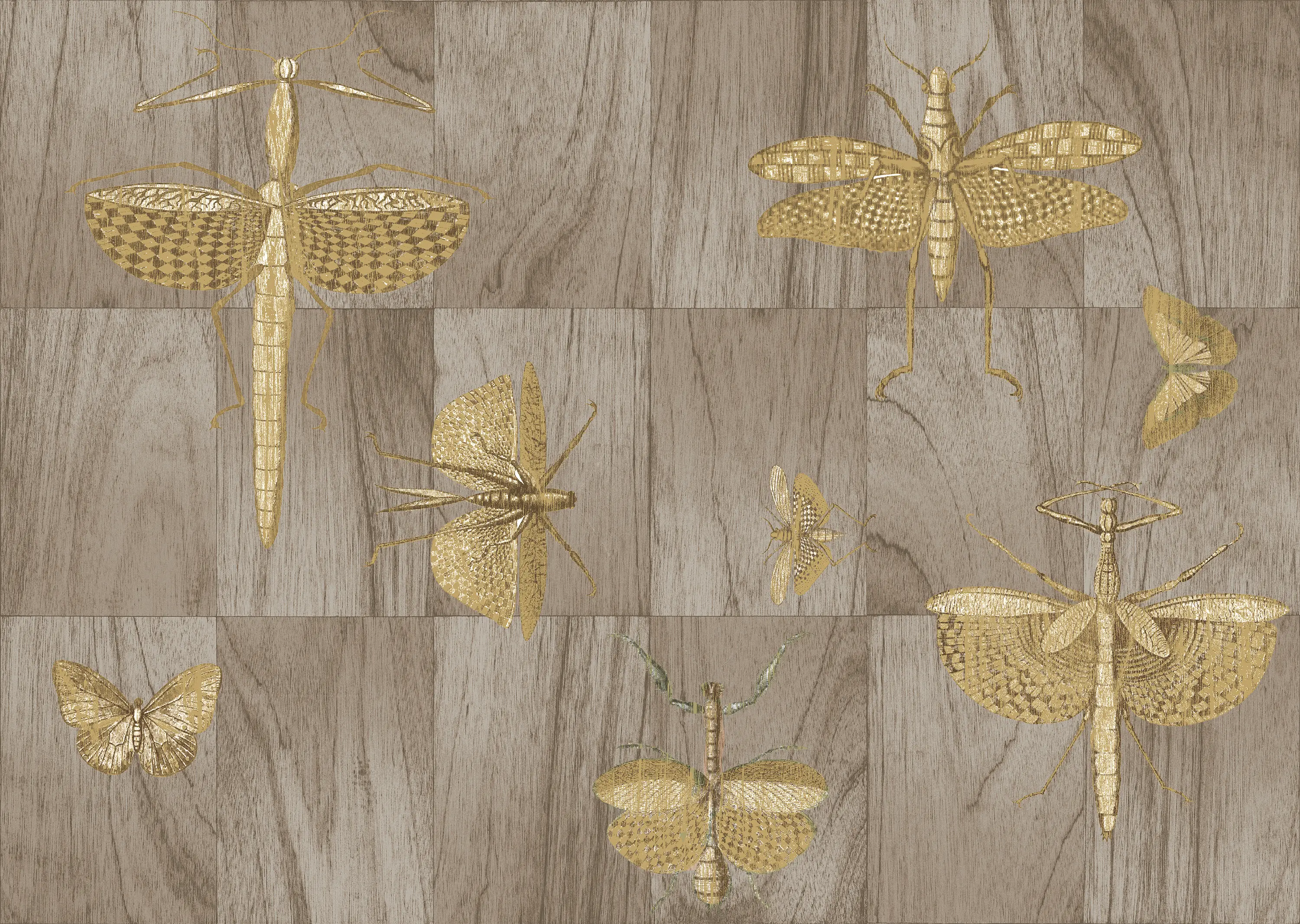 Arte - Ligna Wings