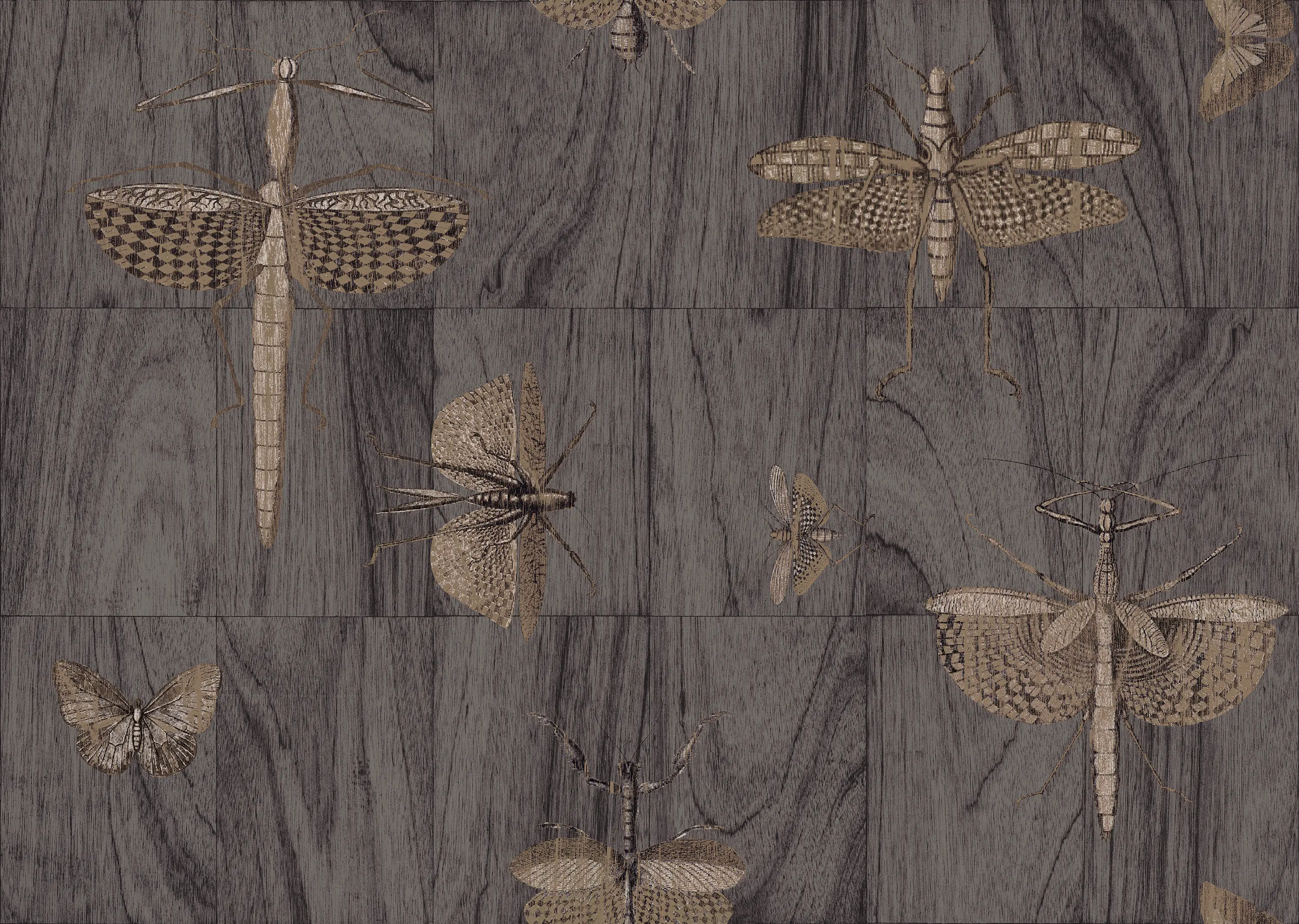 Arte - Ligna Wings