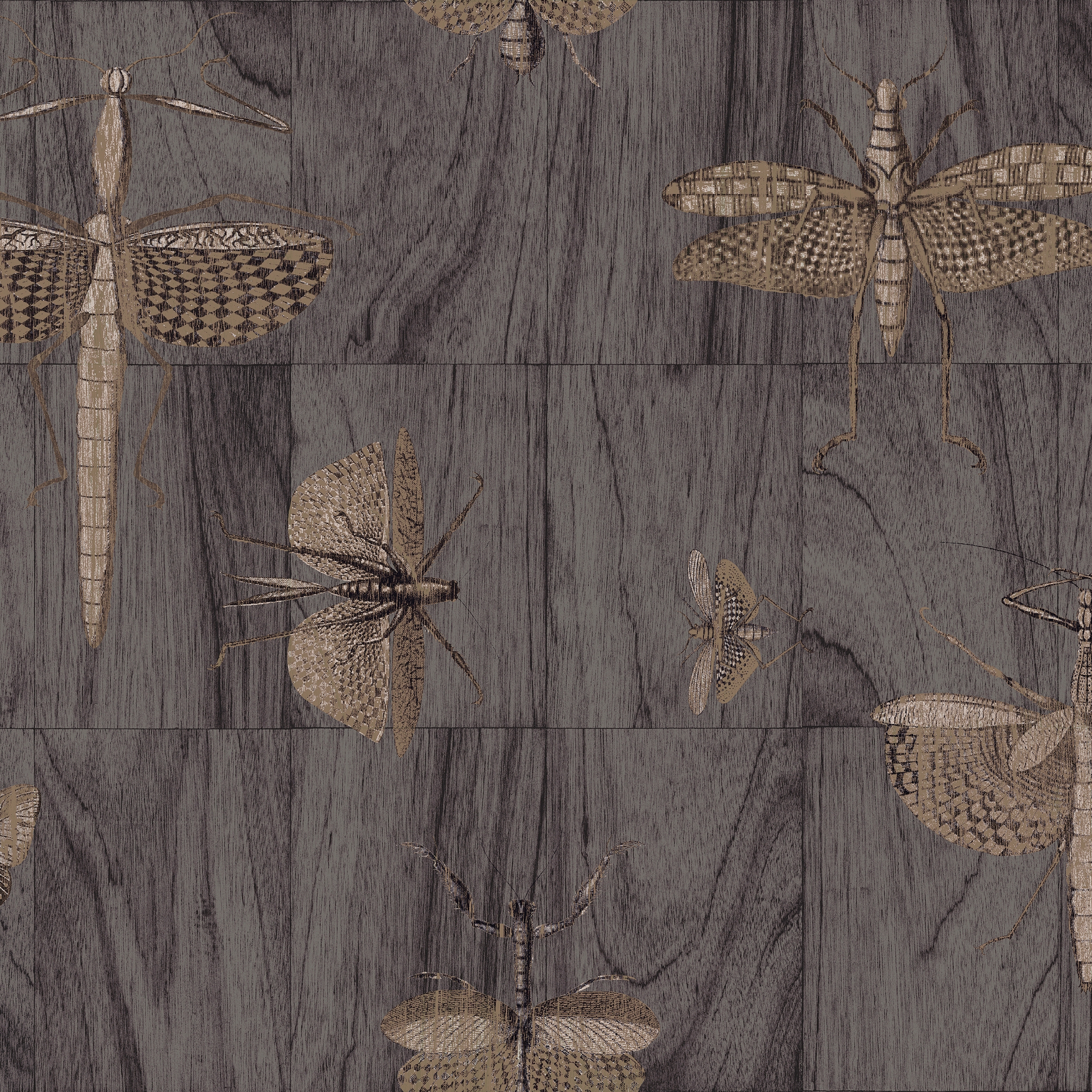 Ligna Wings